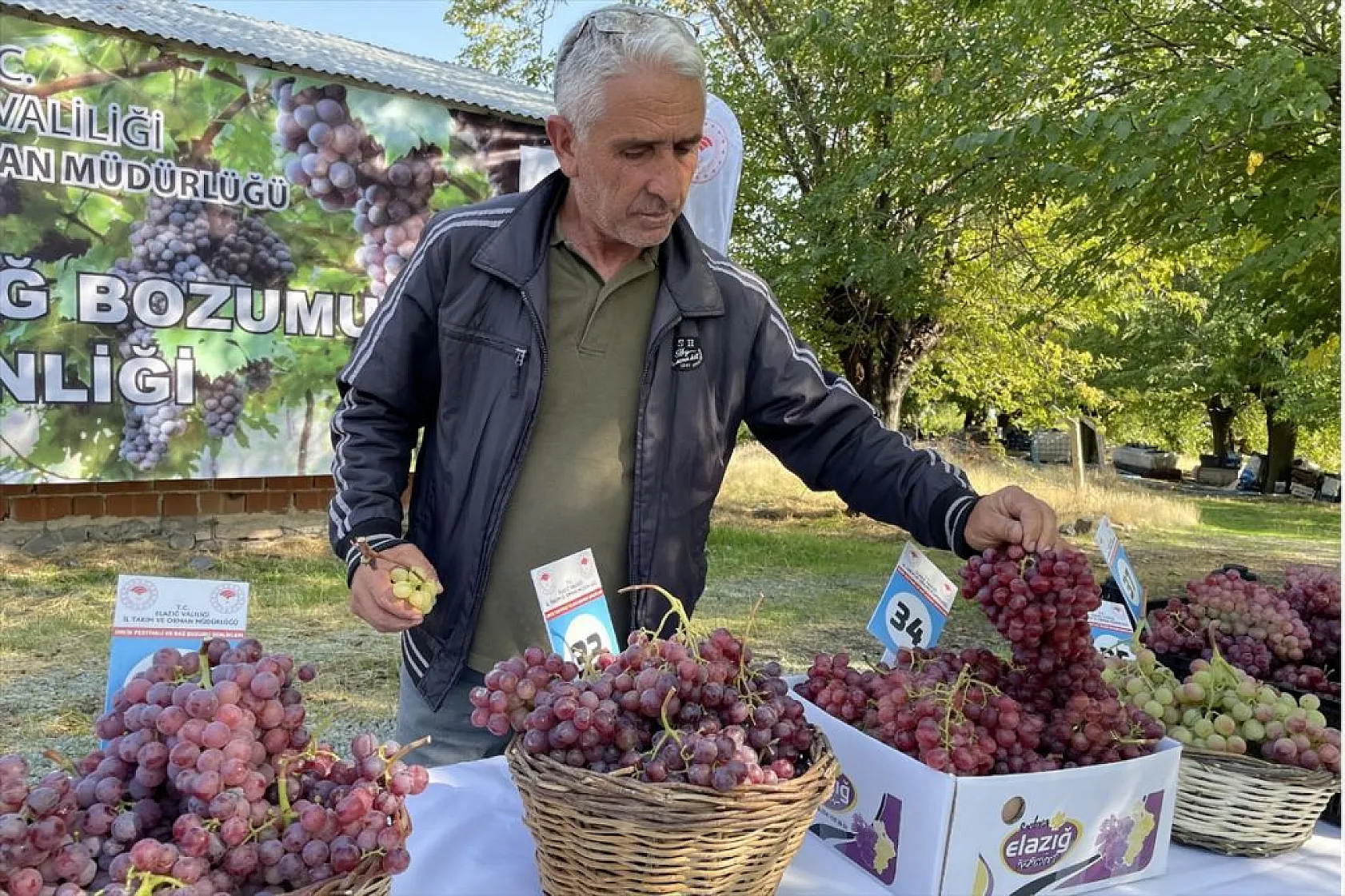 Elazığ'da 'bağ bozumu ve orcik' etkinliği