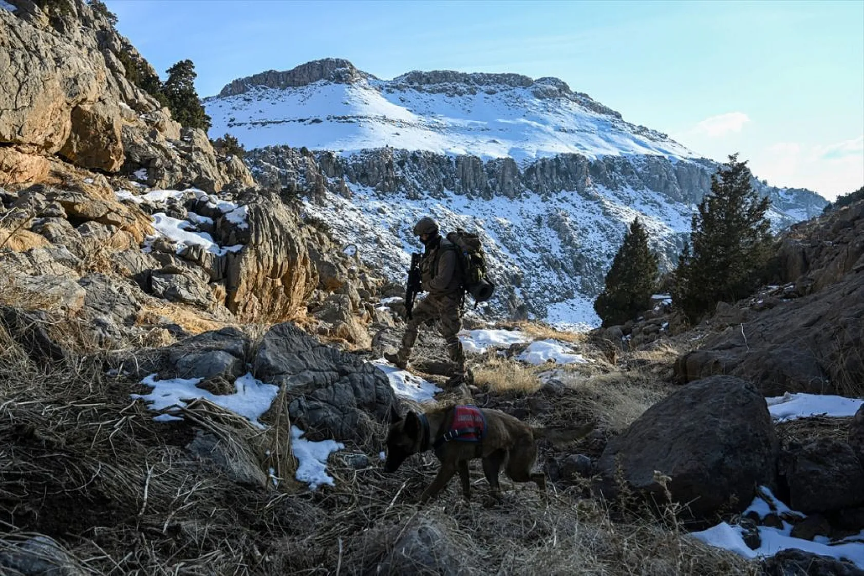Jandarma timleri, dağları teröristlere dar ediyor