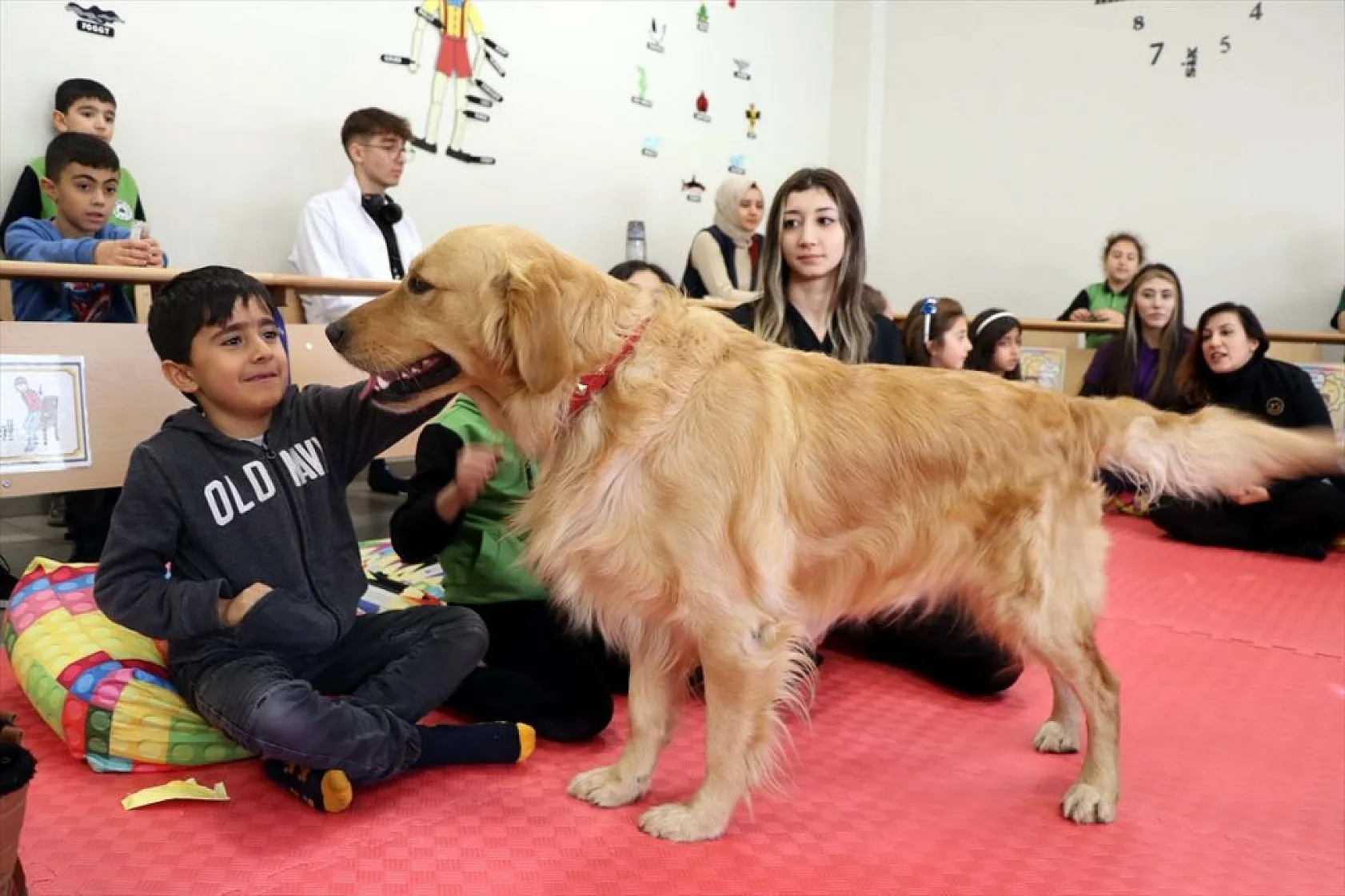 'Sokağın Gerçek Sahipleri Projesi' öğrencilerle buluştu