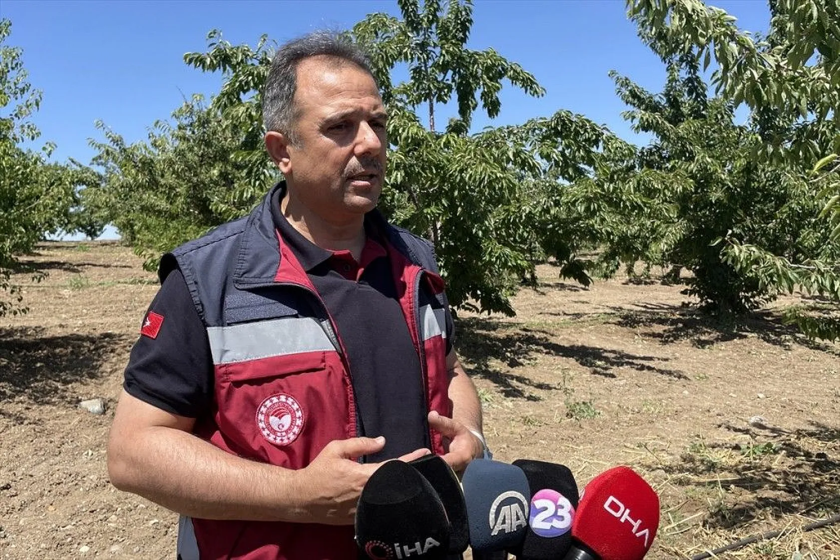 Elazığ'da 7 bin dekar alanda kiraz hasadı başladı