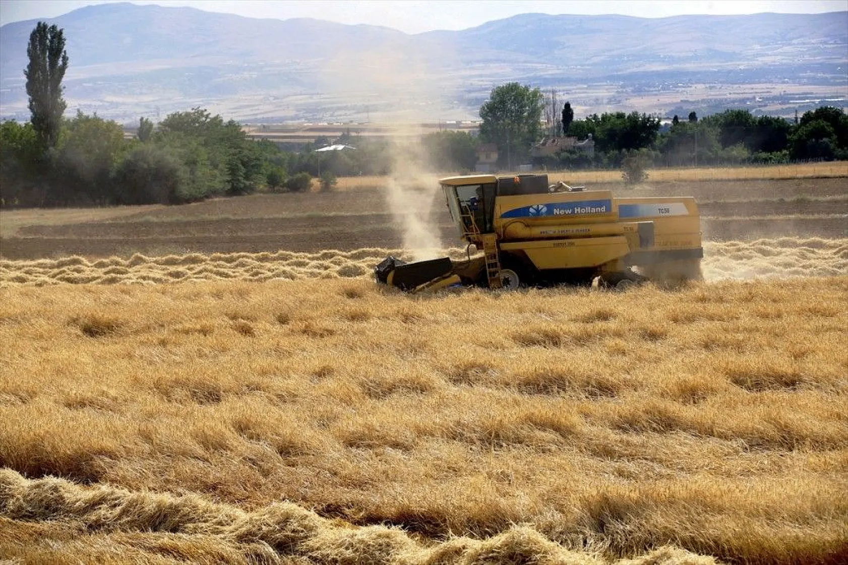 'Elazığ'da son yılların en yüksek arpa ve buğday rekoltesi bekleniyor'
