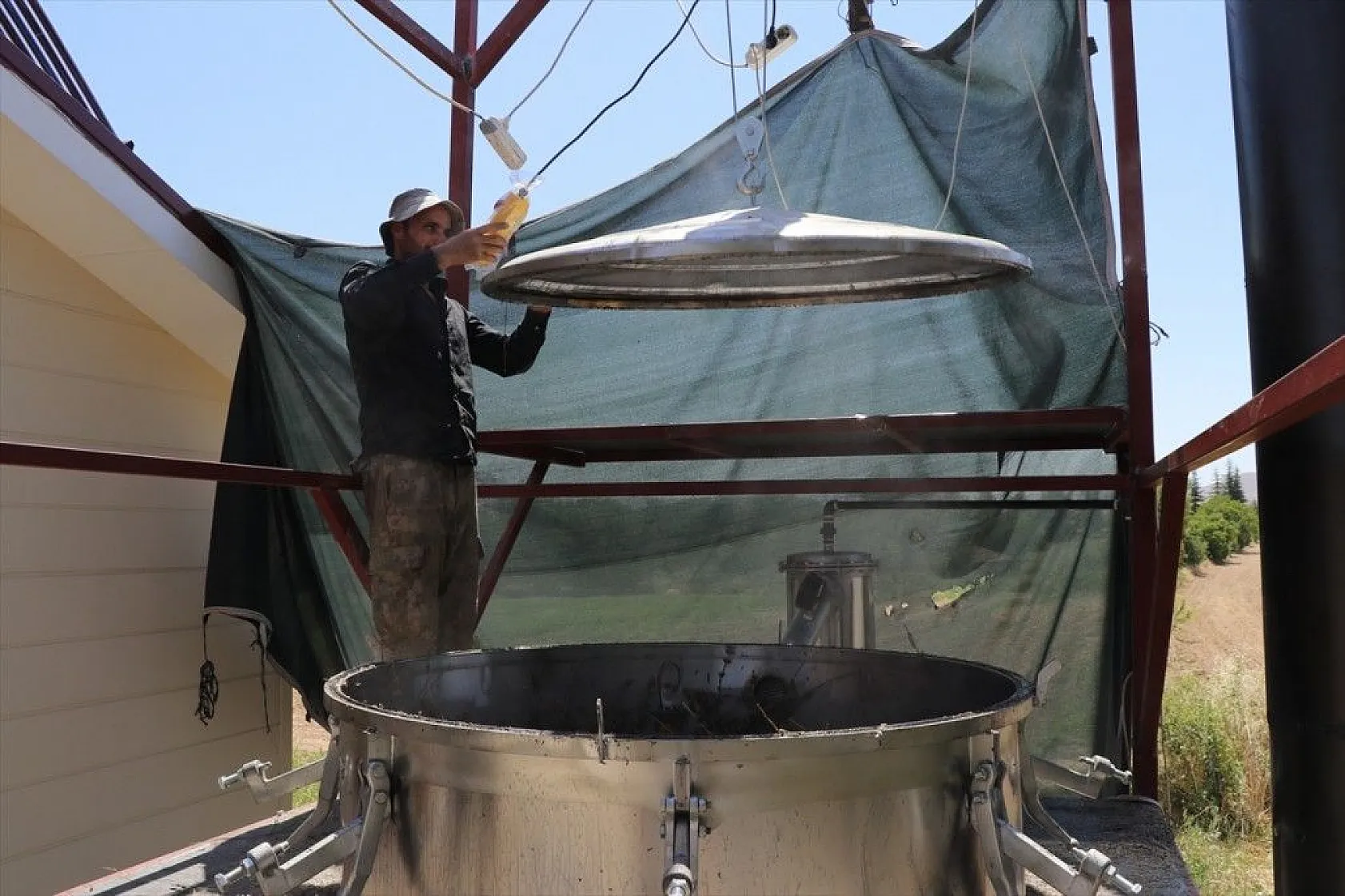 Elazığlı kadınlar lavanta üretiyor