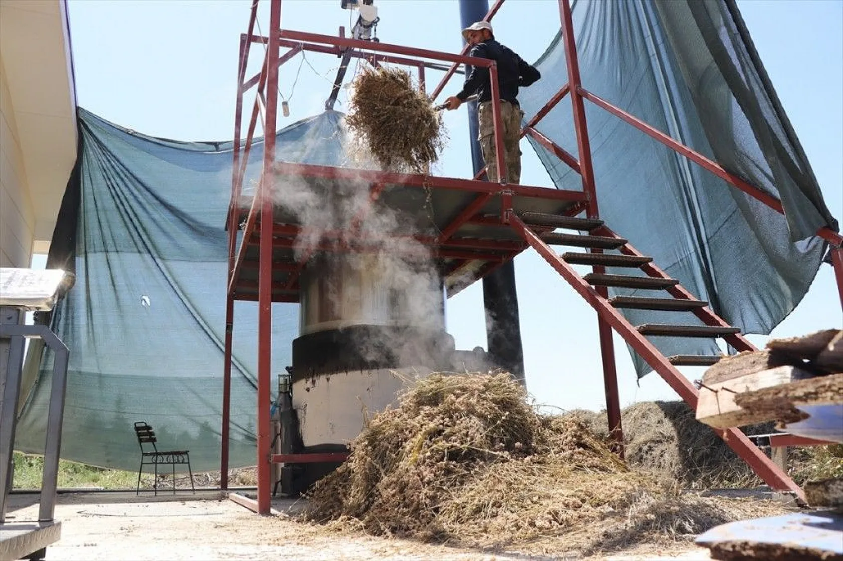 Elazığlı kadınlar lavanta üretiyor