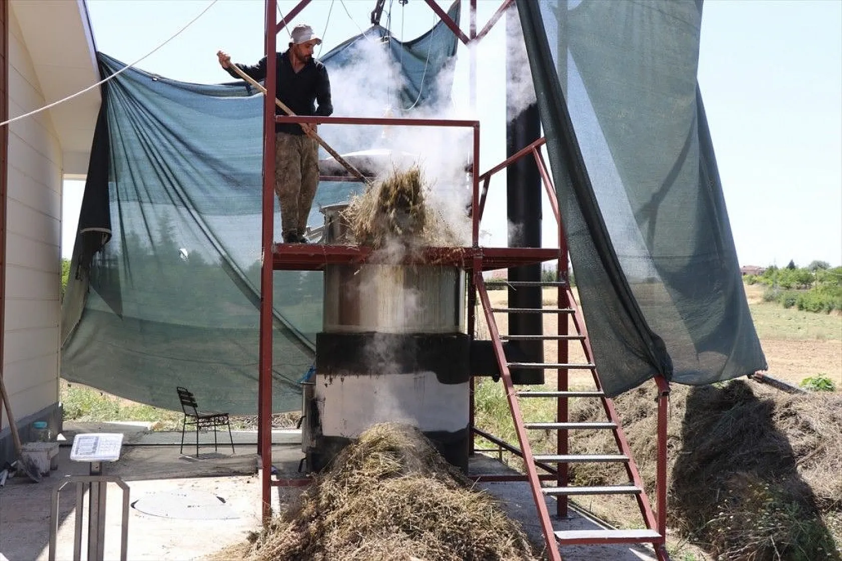 Elazığlı kadınlar lavanta üretiyor