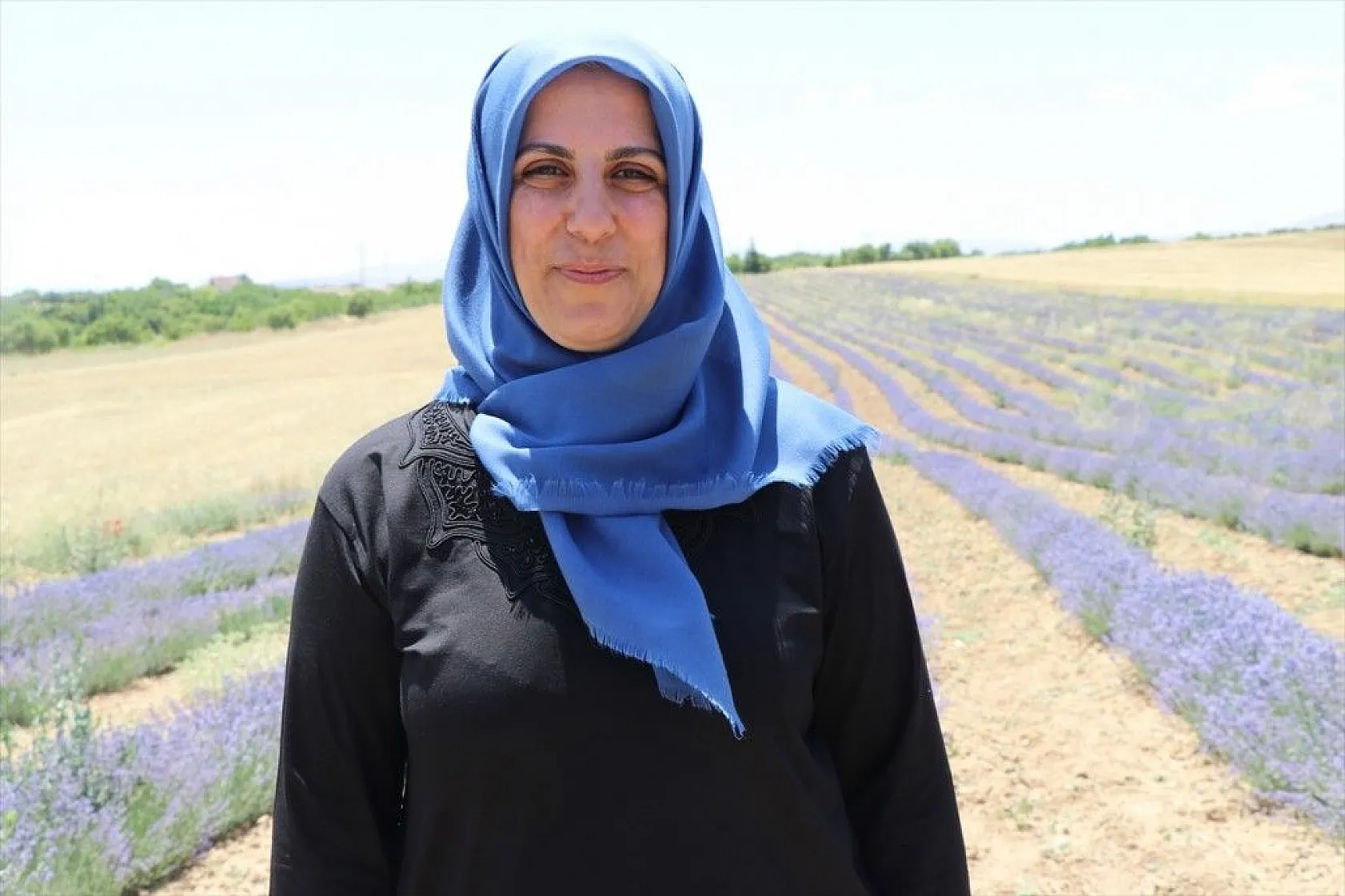 Elazığlı kadınlar lavanta üretiyor