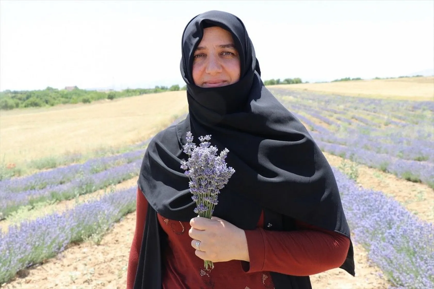 Elazığlı kadınlar lavanta üretiyor