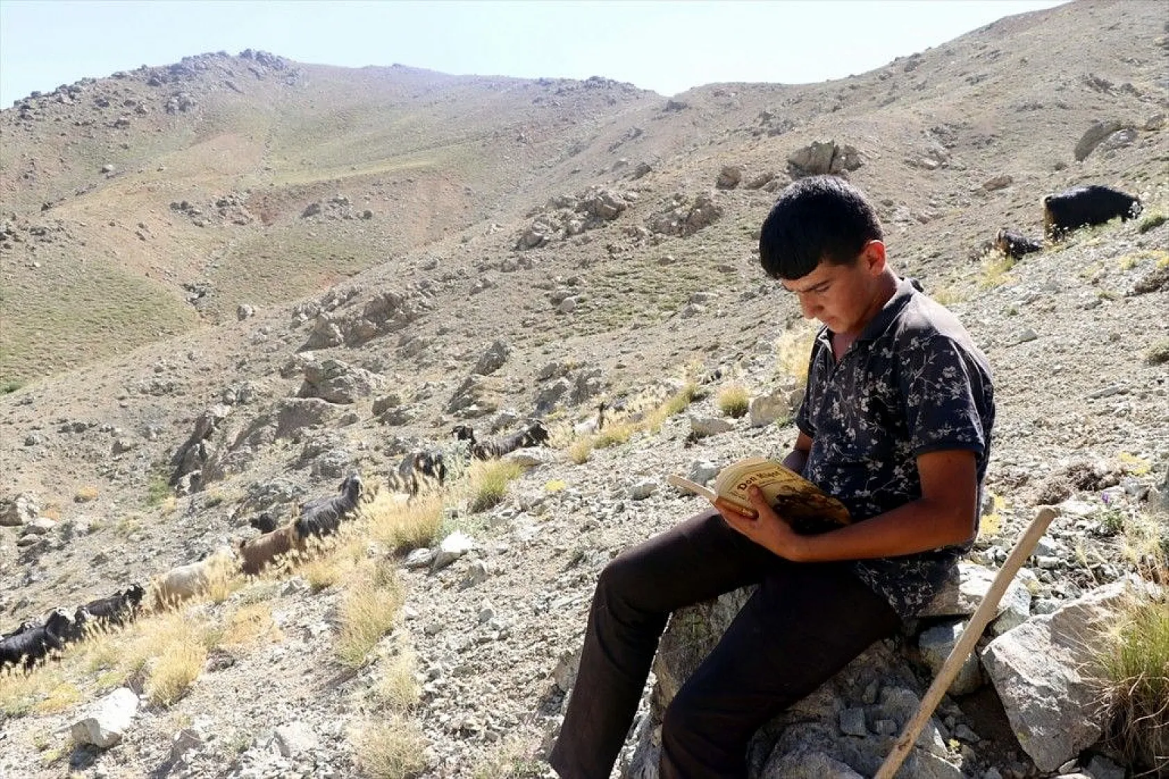 Yaylada keçi otlatarak hazırlandığı LGS sınavında 494 puan aldı