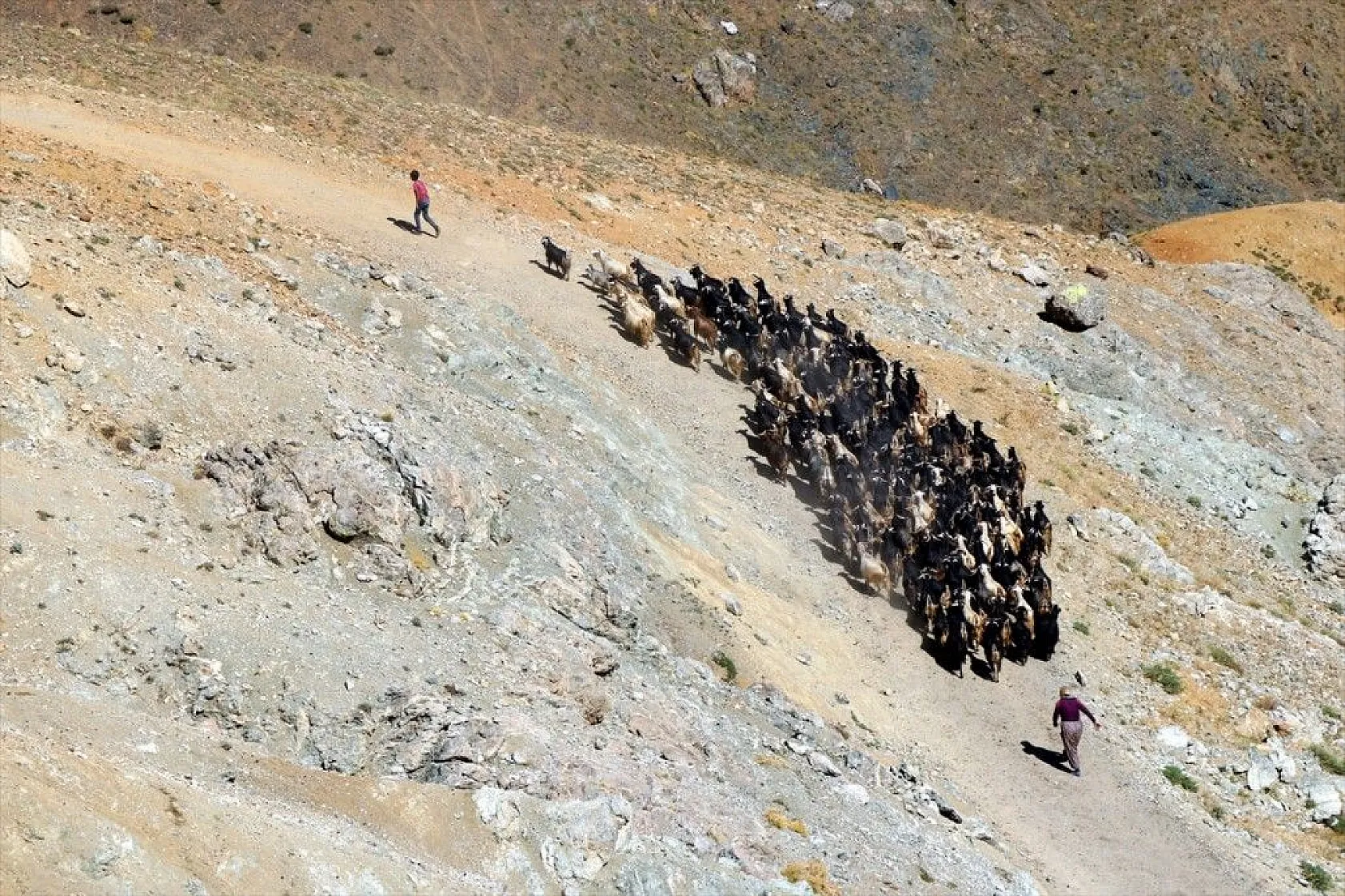 Yaylada keçi otlatarak hazırlandığı LGS sınavında 494 puan aldı