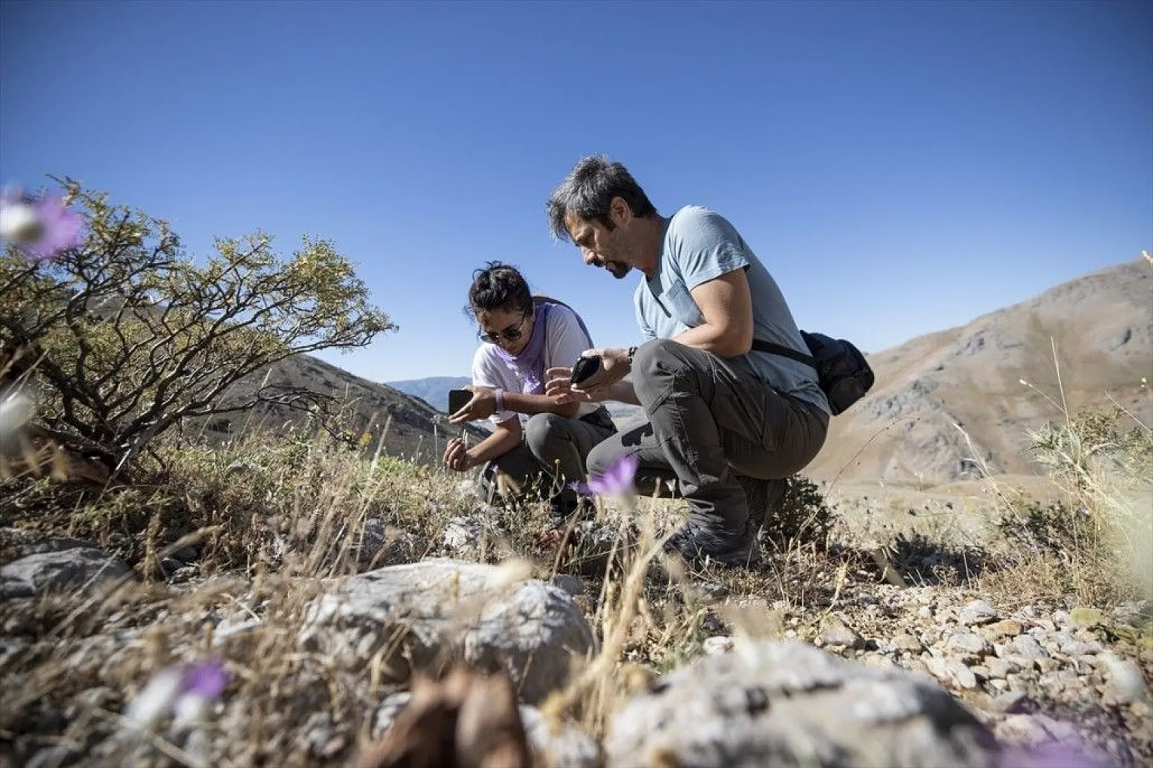 Tunceli'nin zengin florası kayıt altına alınıyor