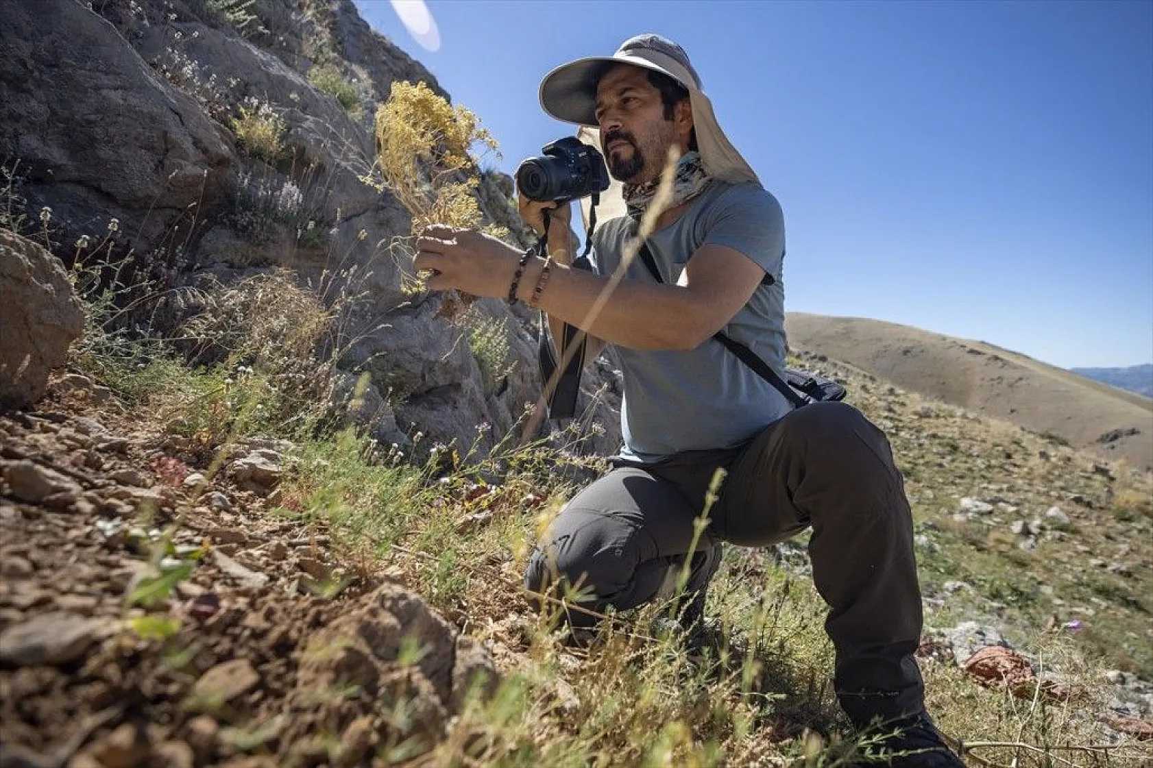 Tunceli'nin zengin florası kayıt altına alınıyor
