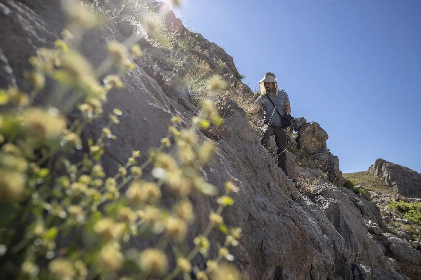 Tunceli'nin zengin florası kayıt altına alınıyor