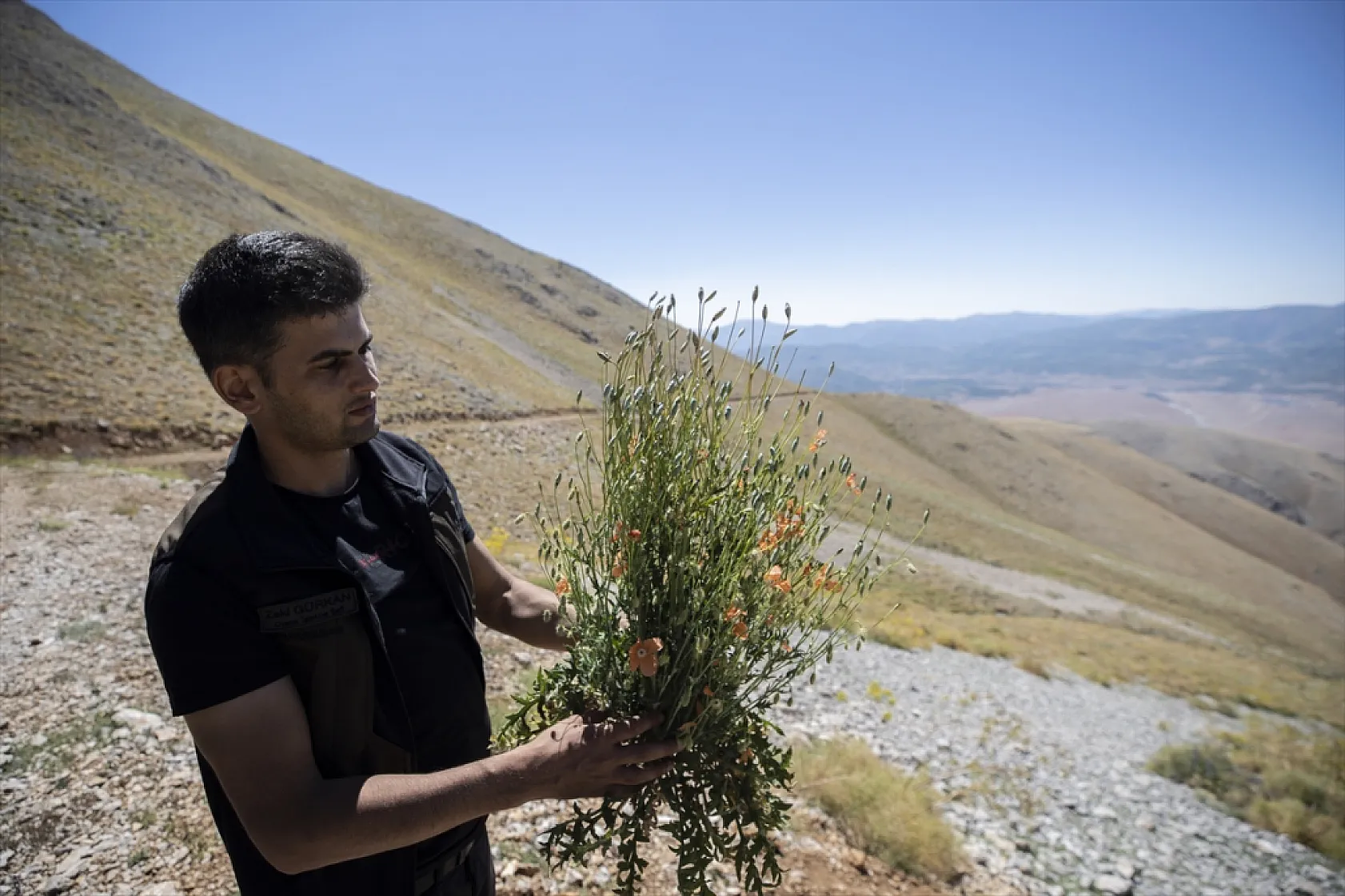 Tunceli'nin zengin florası kayıt altına alınıyor