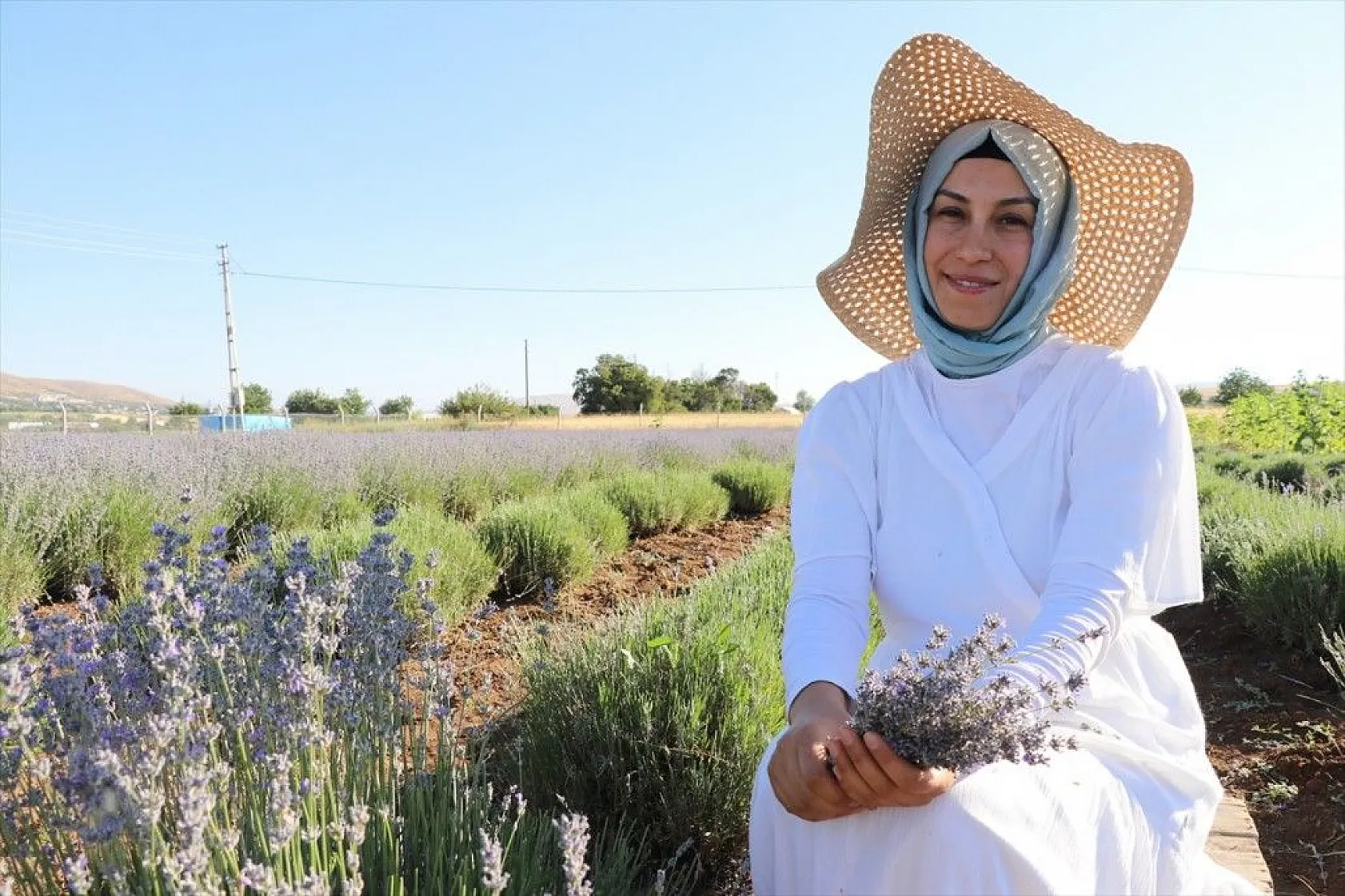 Elazığlı kadın girişimci, atıl araziyi lavanta bahçesine dönüştürdü