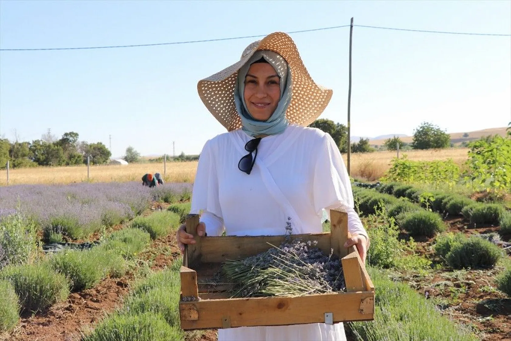 Elazığlı kadın girişimci, atıl araziyi lavanta bahçesine dönüştürdü
