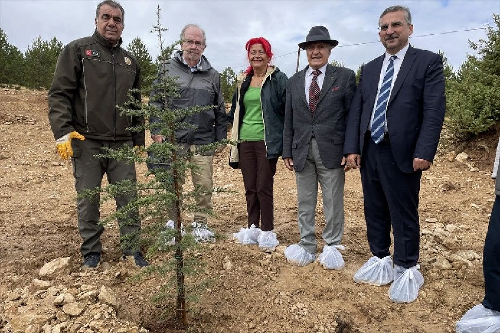 Prof. Dr. Melih Boydak Hatıra Ormanı'na fidan dikildi