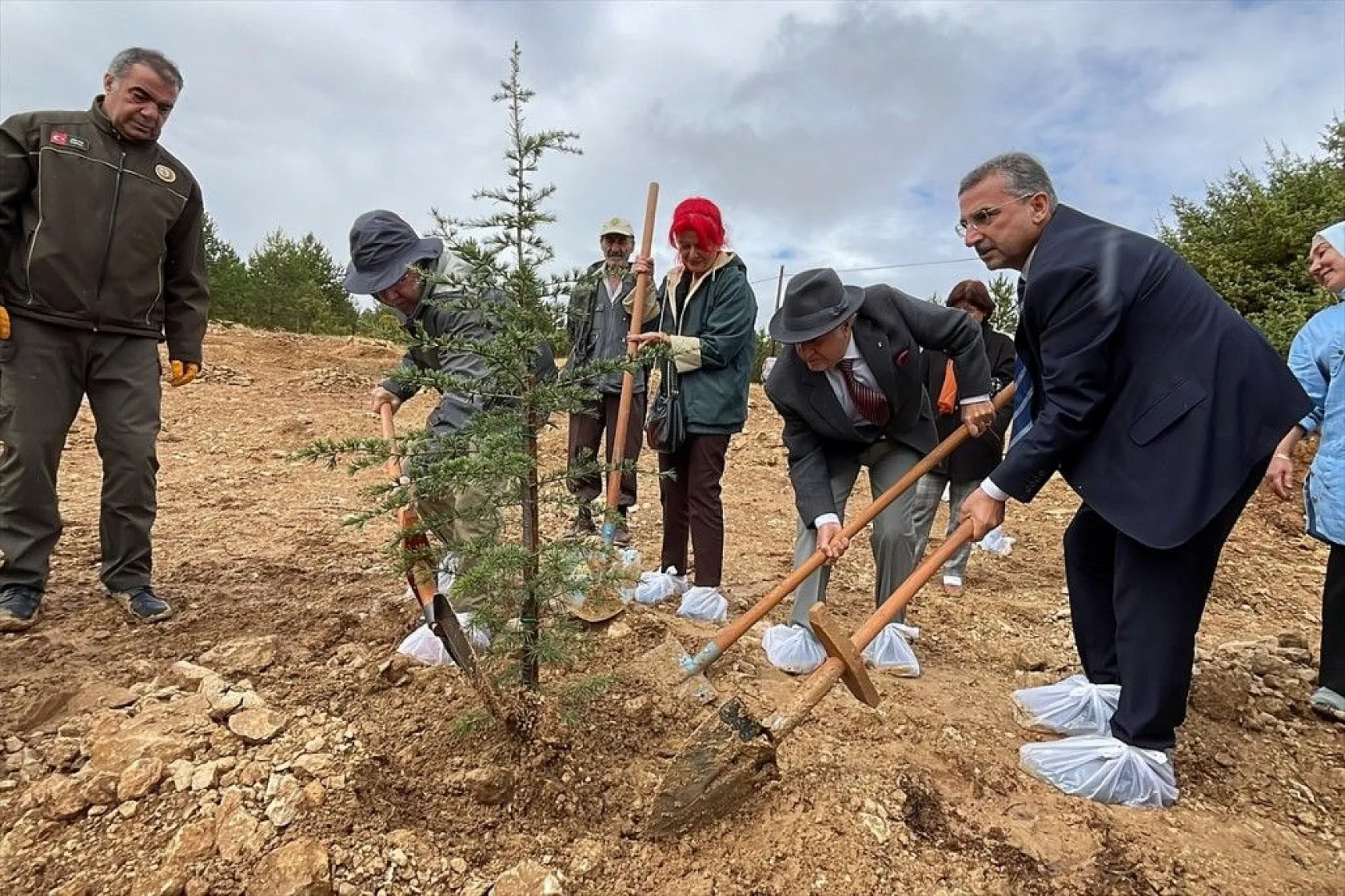 Prof. Dr. Melih Boydak Hatıra Ormanı'na fidan dikildi