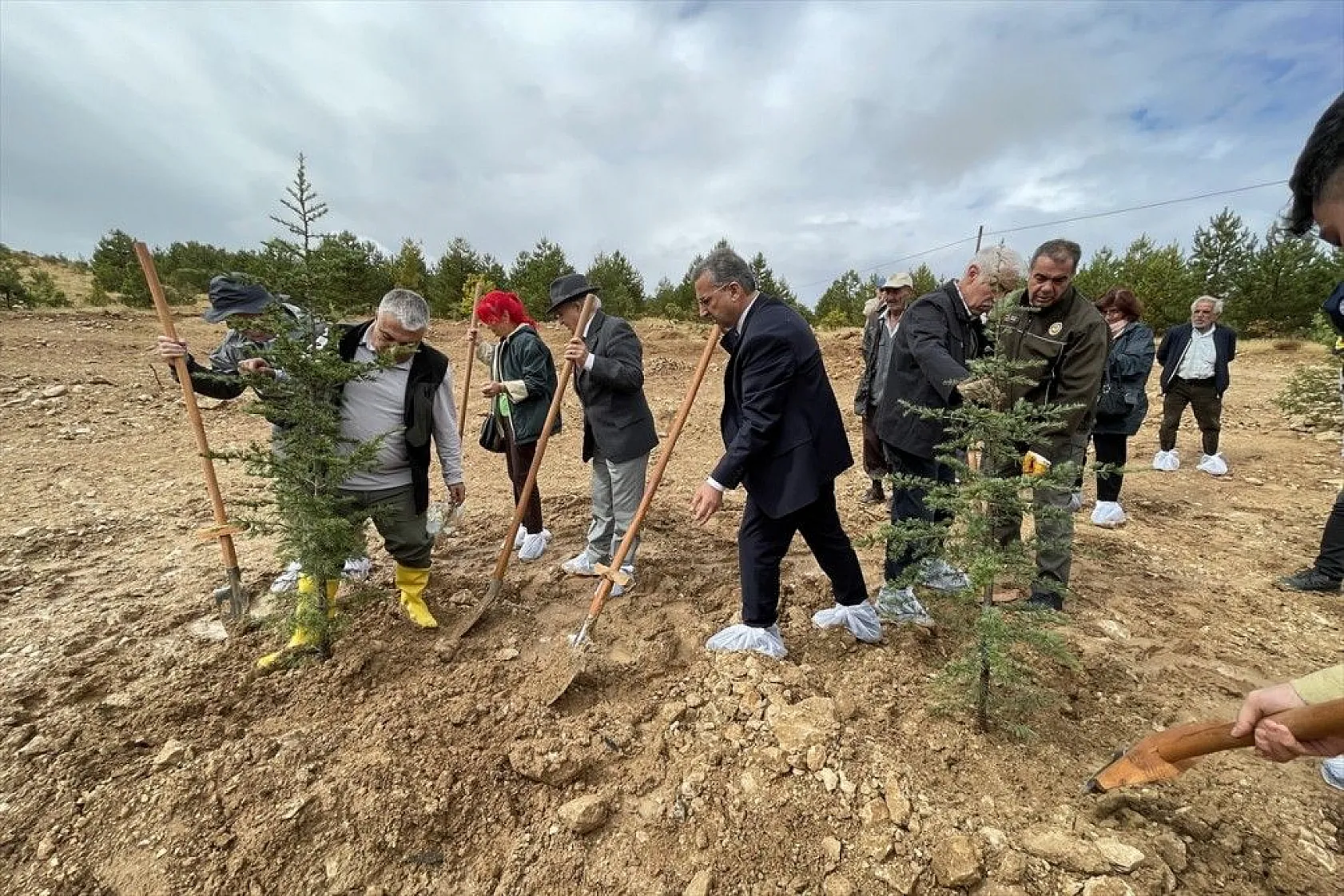 Prof. Dr. Melih Boydak Hatıra Ormanı'na fidan dikildi