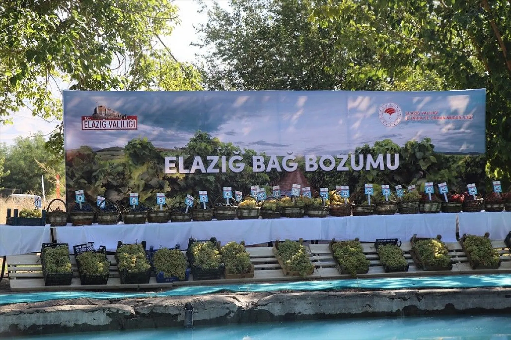 '17. Geleneksel Üzüm Festivali ve Bağ Bozumu' etkinliği yapıldı