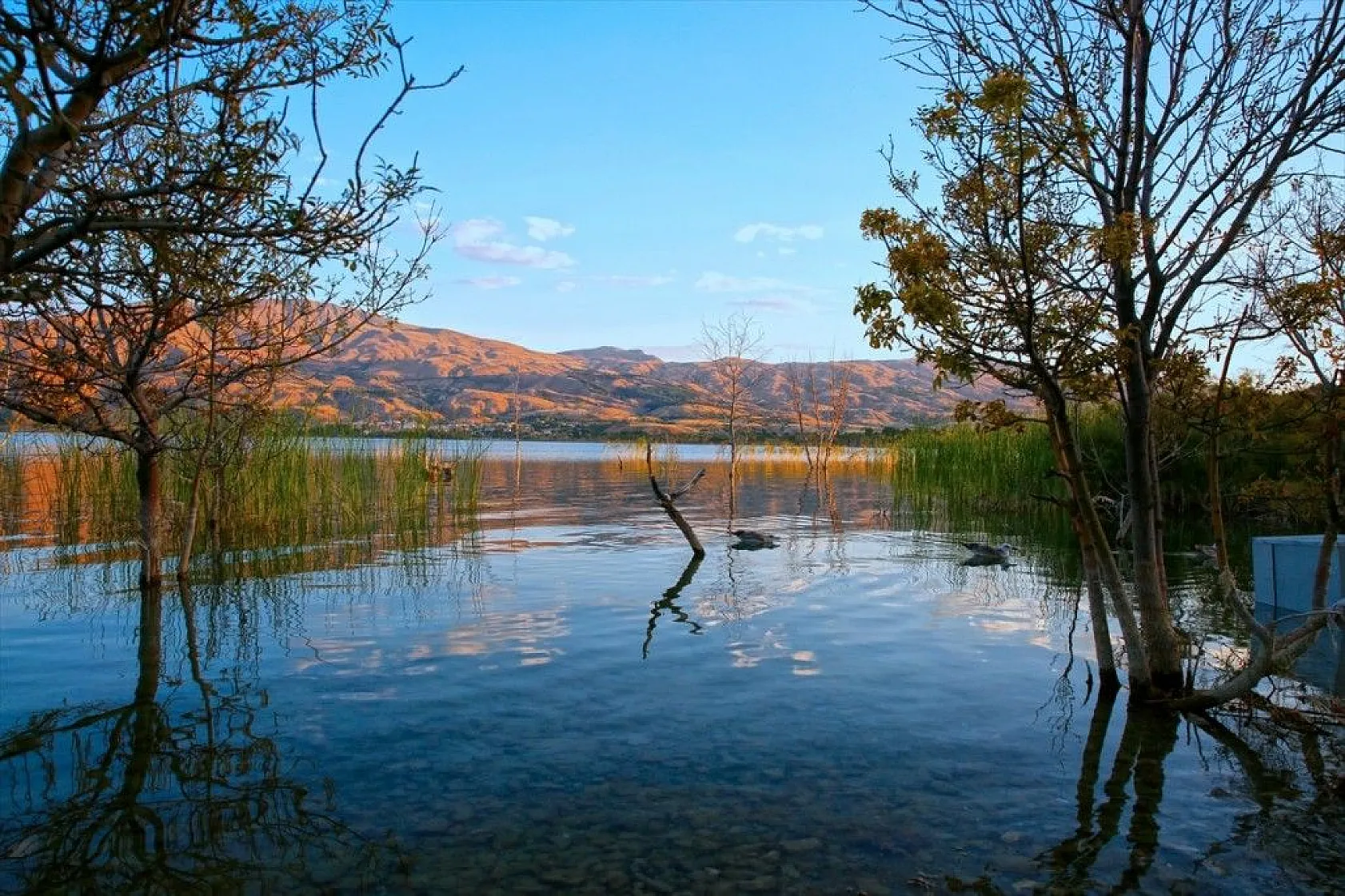 Tektonik göllerde su seviyesindeki ani artış 'depremin habercisi' olabilir