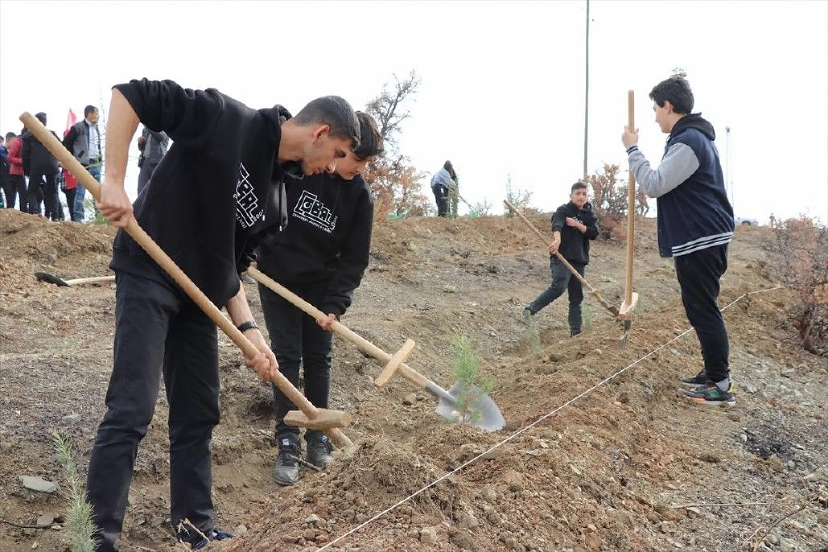 10 bin fidan toprakla buluştu