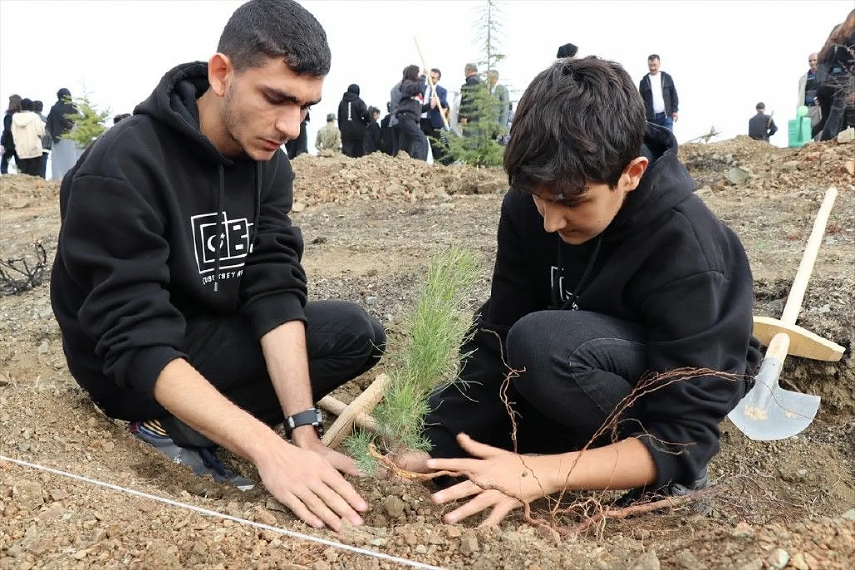 10 bin fidan toprakla buluştu