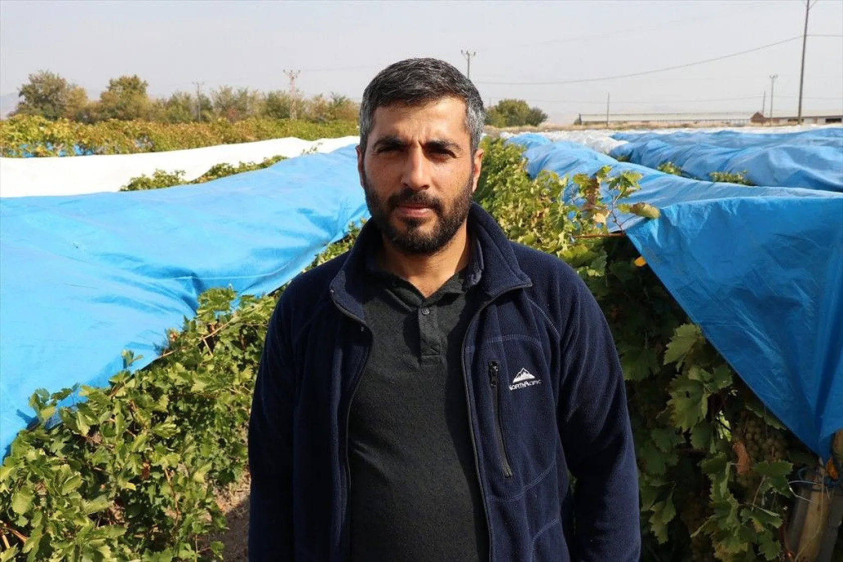 Elazığ'da üzüm bağları mavi beyaz örtüyle kaplandı