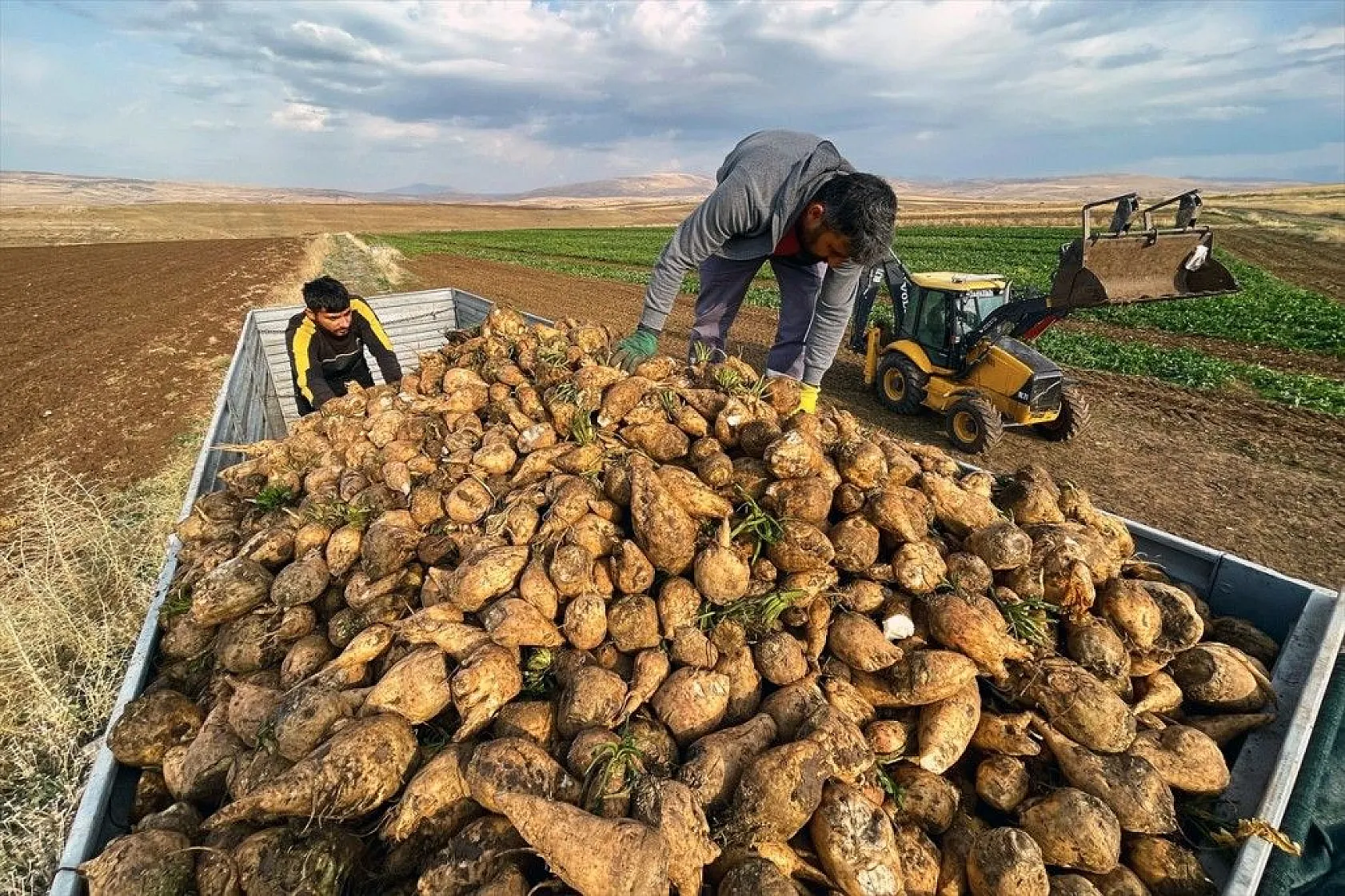 Elazığlı çiftçiler sulu tarımla ürün çeşitliliğini çoğalttı