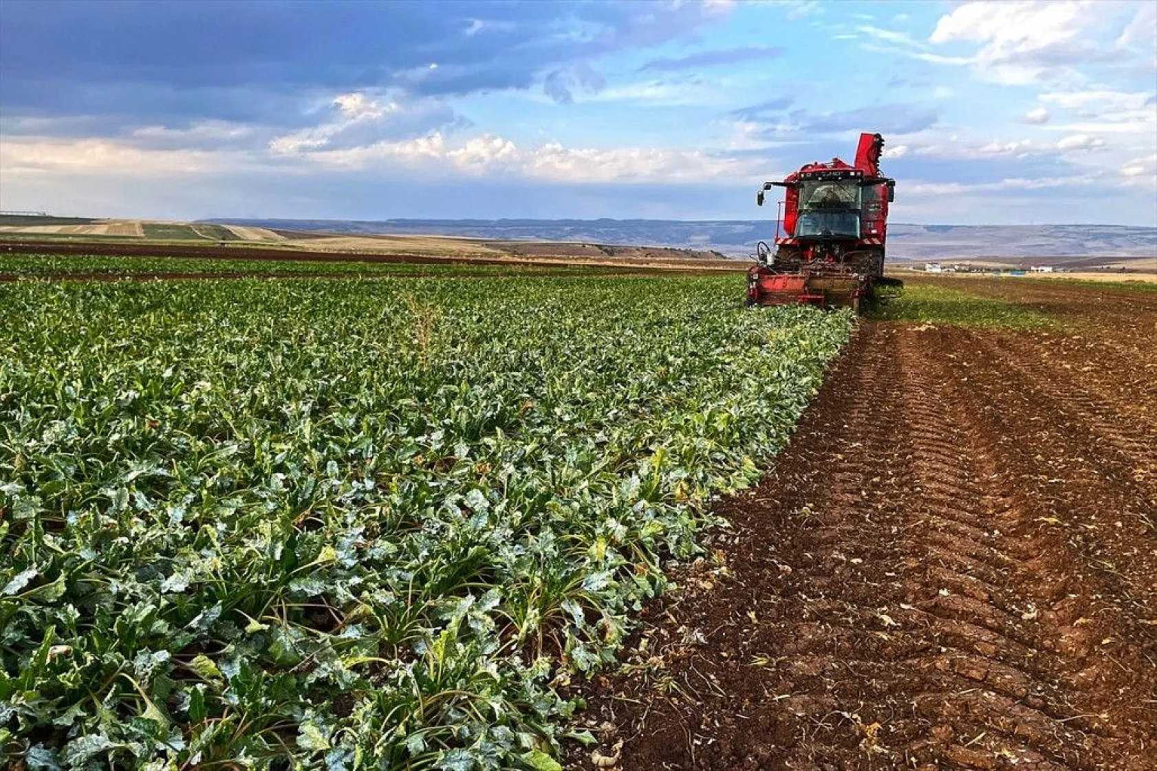 Elazığlı çiftçiler sulu tarımla ürün çeşitliliğini çoğalttı