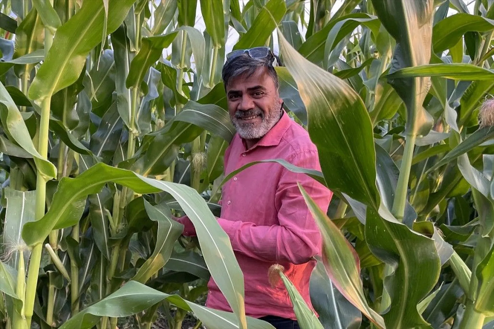 Elazığlı çiftçiler sulu tarımla ürün çeşitliliğini çoğalttı