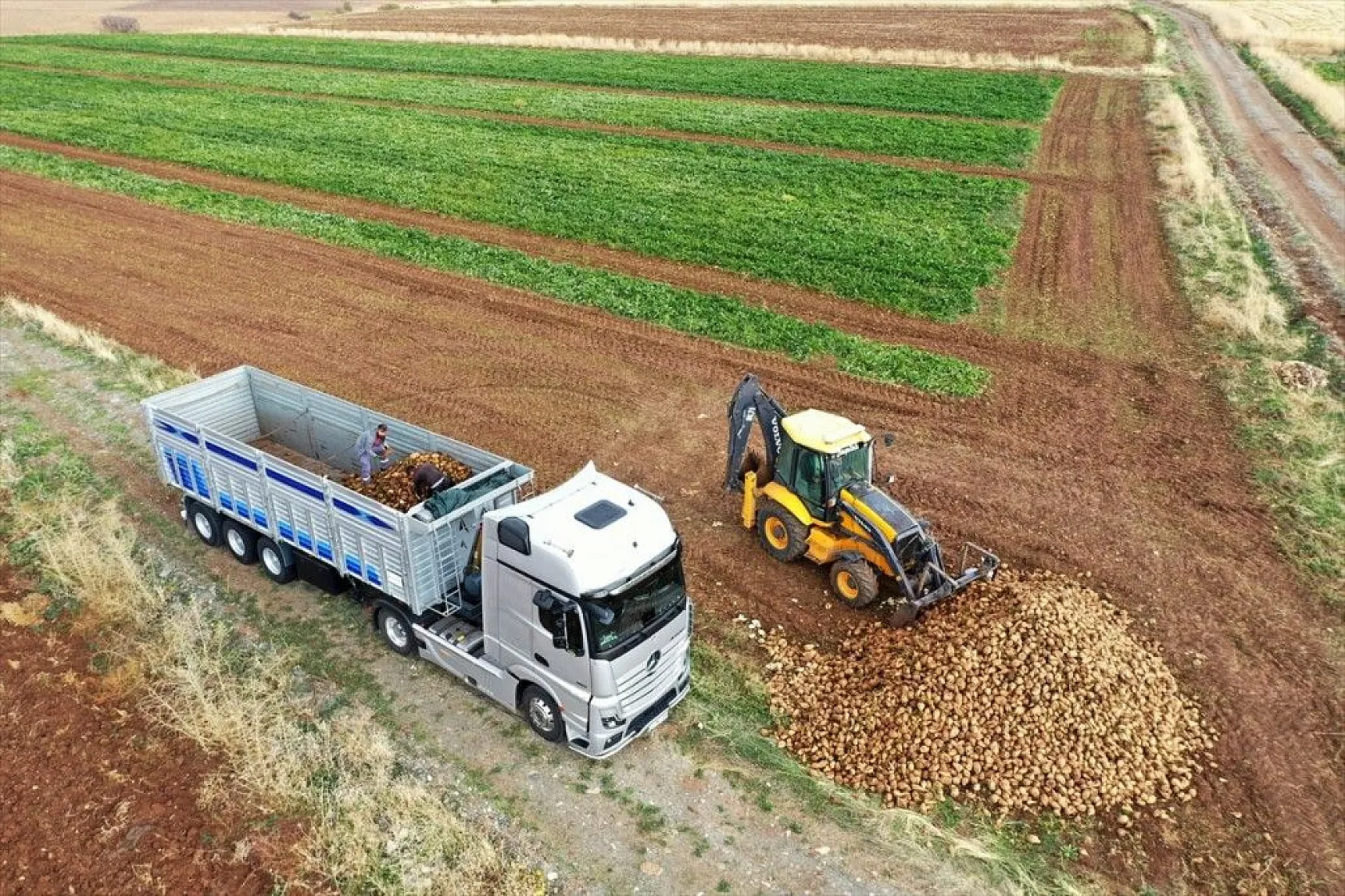 Elazığlı çiftçiler sulu tarımla ürün çeşitliliğini çoğalttı