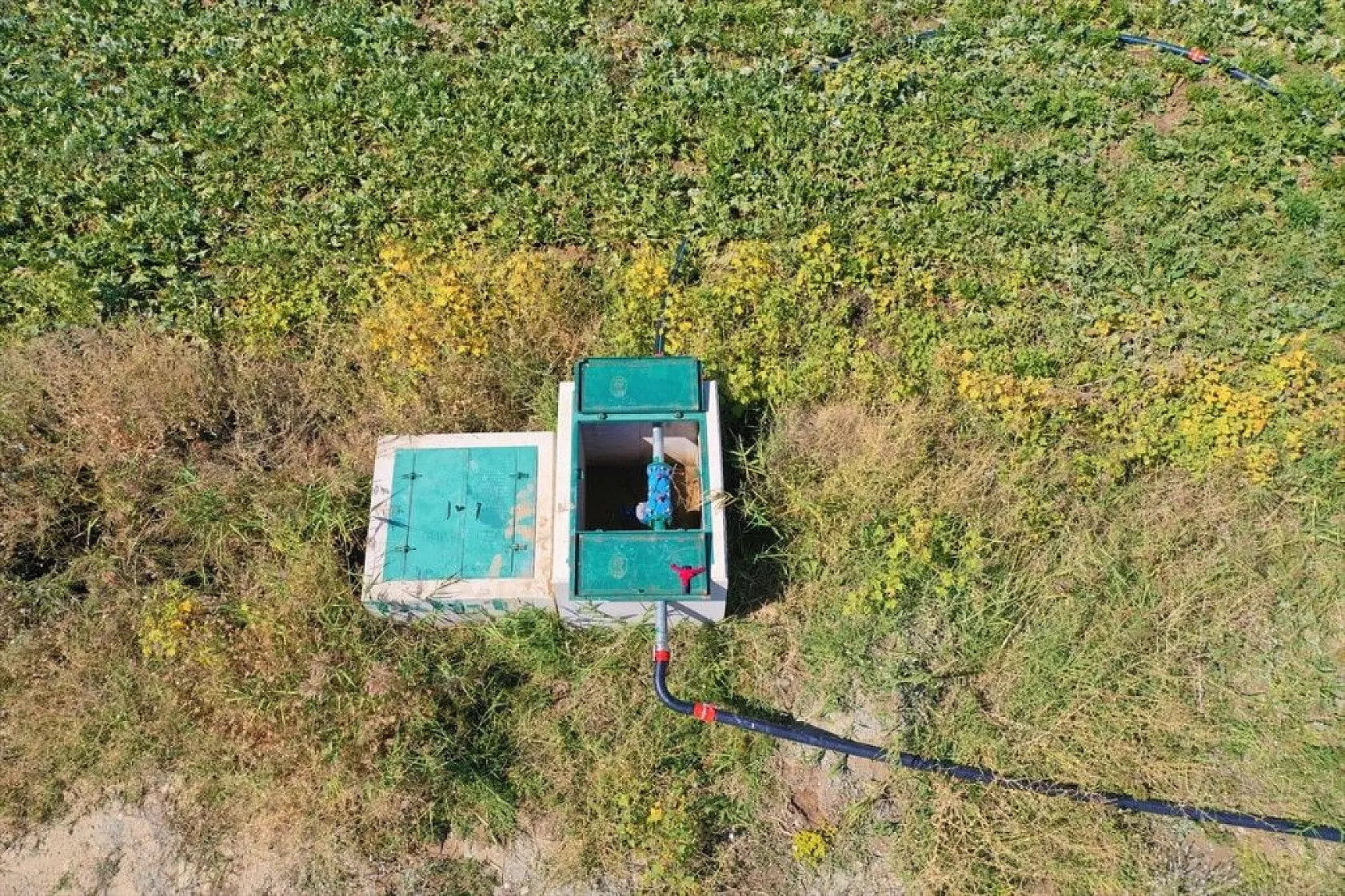 Elazığlı çiftçiler sulu tarımla ürün çeşitliliğini çoğalttı