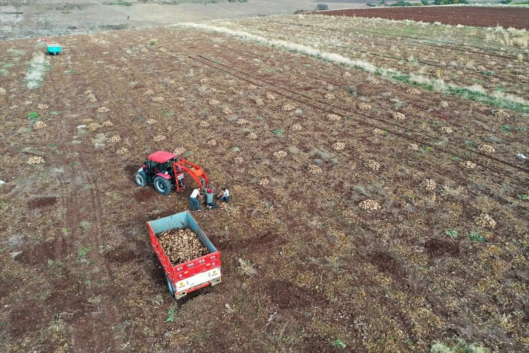 Elazığlı çiftçiler sulu tarımla ürün çeşitliliğini çoğalttı