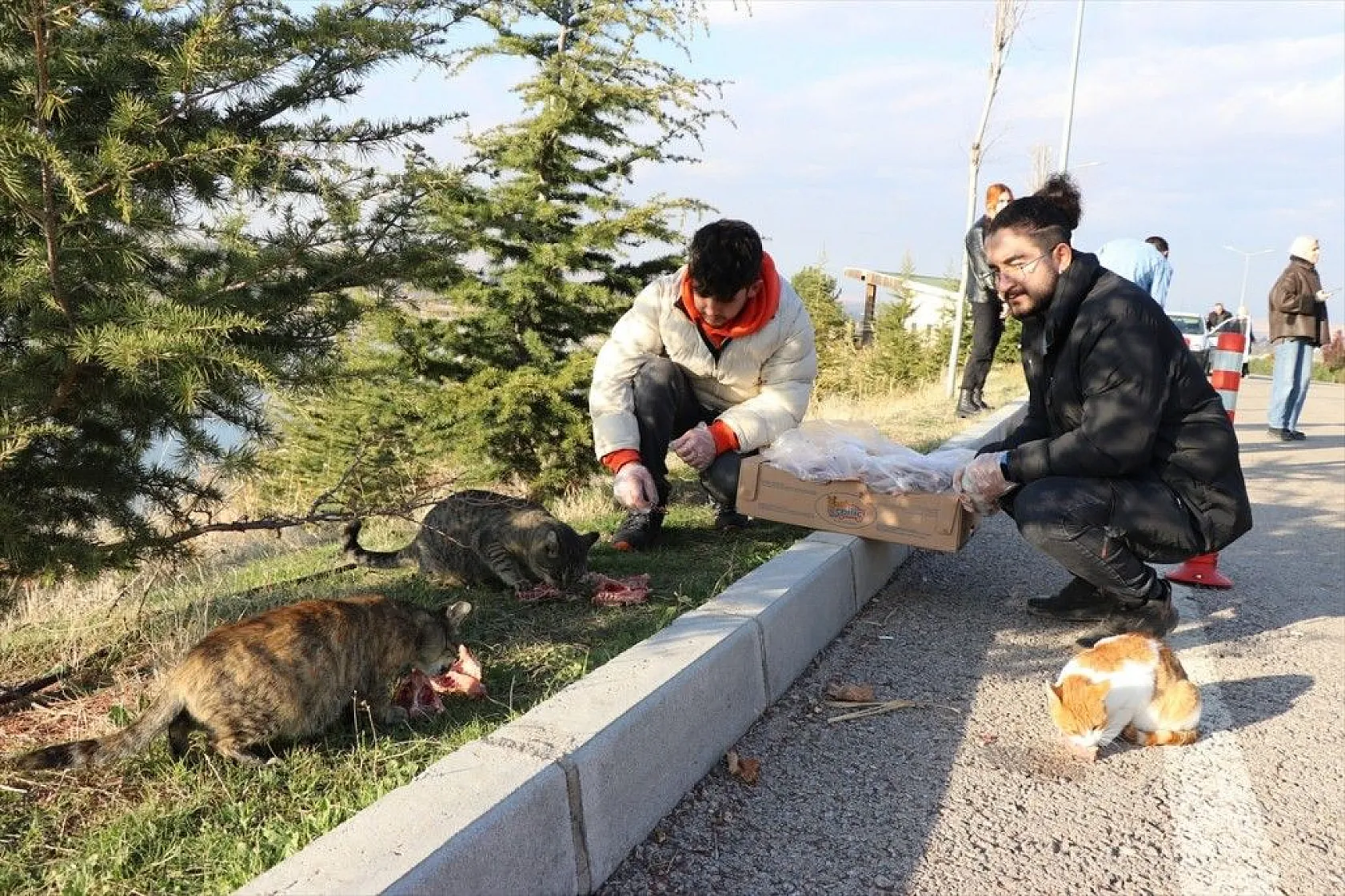 Üniversite öğrencileri sokak hayvanlarını unutmuyor