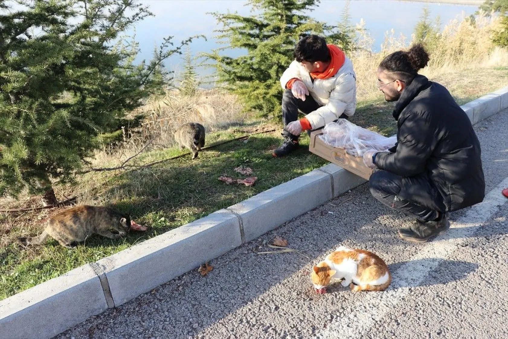 Üniversite öğrencileri sokak hayvanlarını unutmuyor