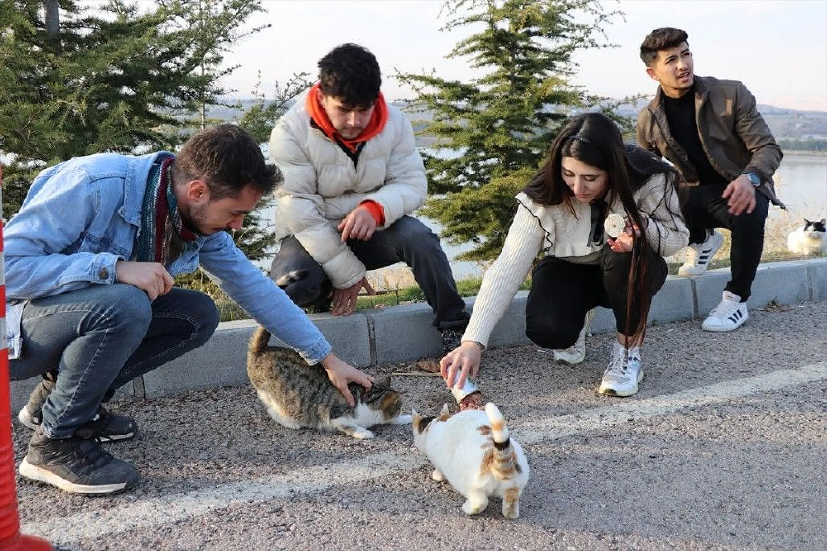 Üniversite öğrencileri sokak hayvanlarını unutmuyor