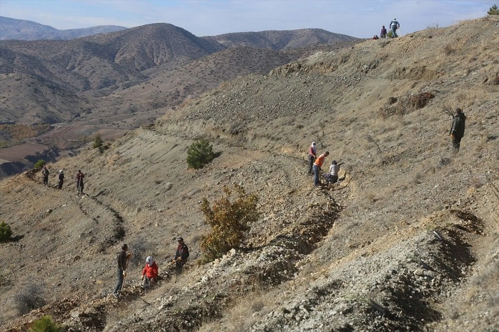Doğu'da bozkıra dikilen milyonlarca fidan 'geleceğe nefes' olacak