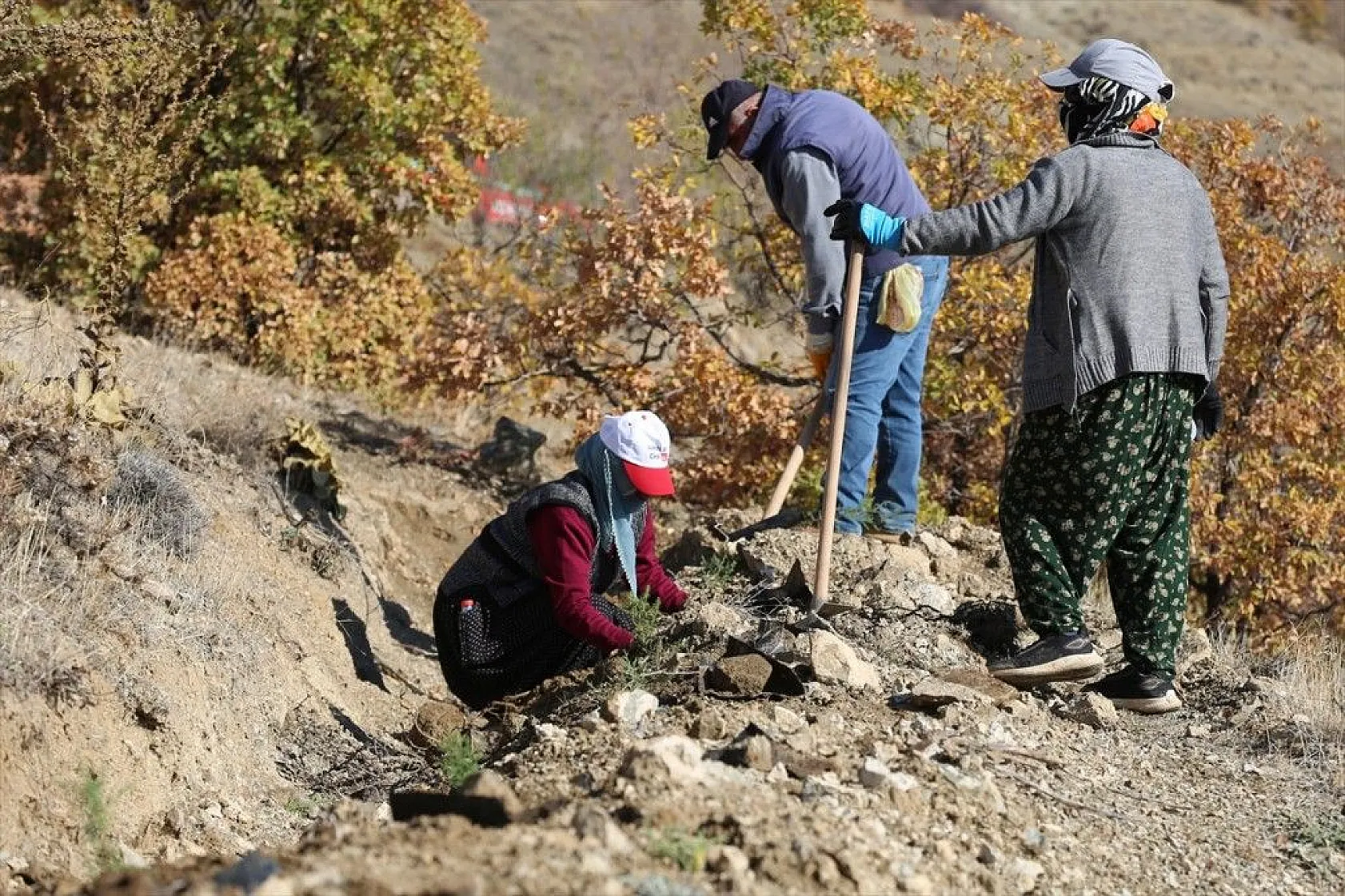 Doğu'da bozkıra dikilen milyonlarca fidan 'geleceğe nefes' olacak