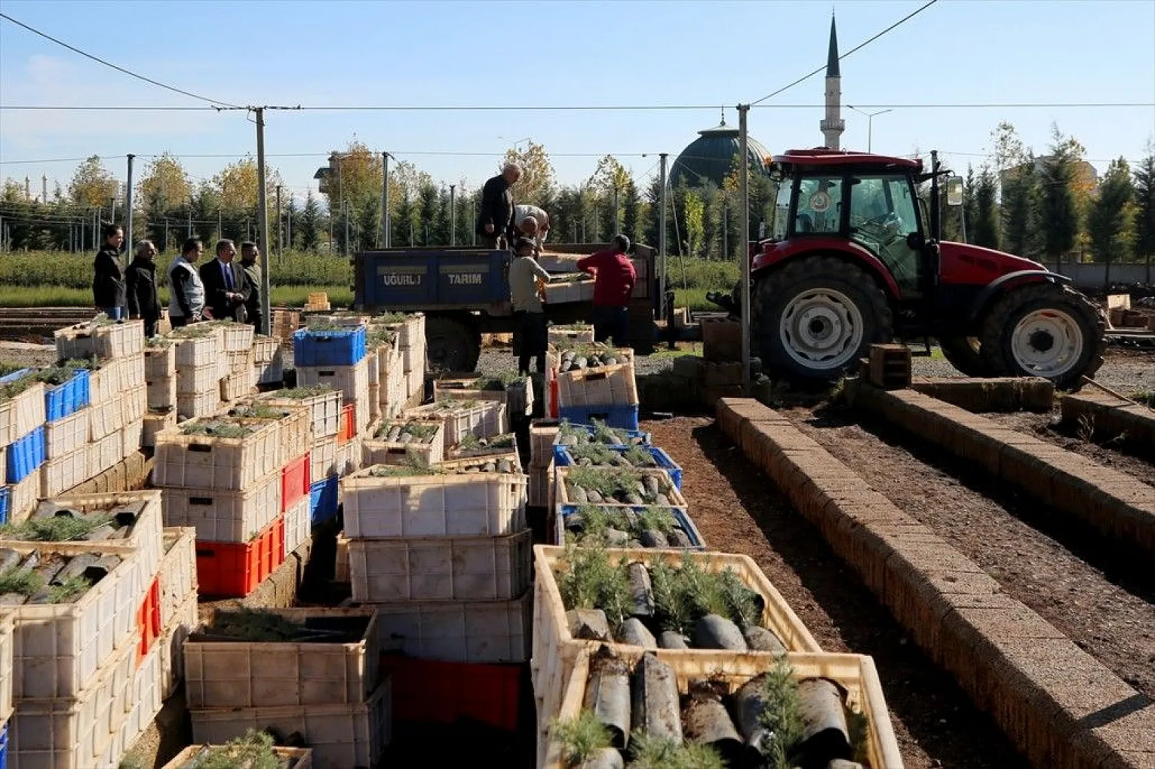 Doğu'da bozkıra dikilen milyonlarca fidan 'geleceğe nefes' olacak