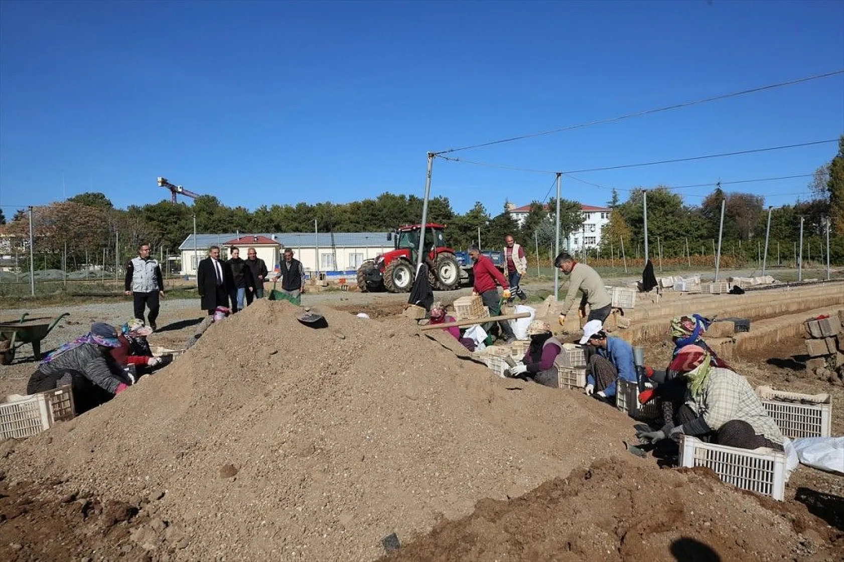 Doğu'da bozkıra dikilen milyonlarca fidan 'geleceğe nefes' olacak