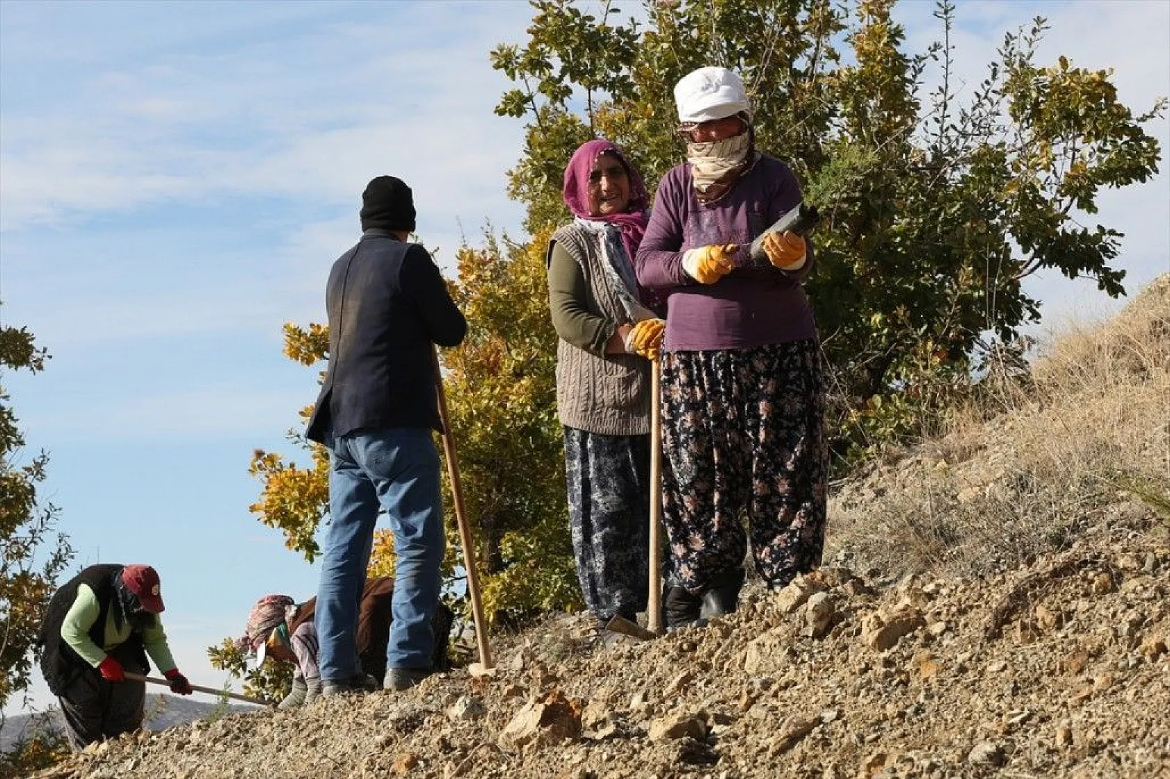 Doğu'da bozkıra dikilen milyonlarca fidan 'geleceğe nefes' olacak