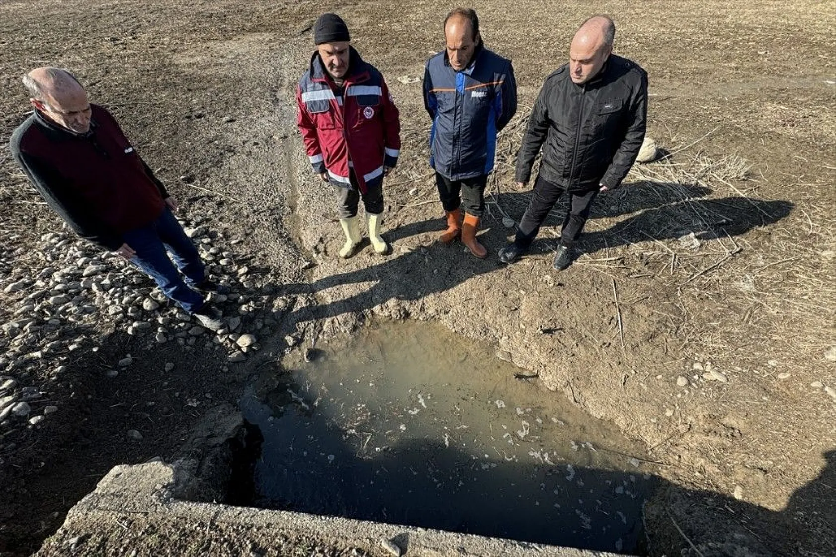 Elazığ'da sazan yavrularının yaşam savaşı