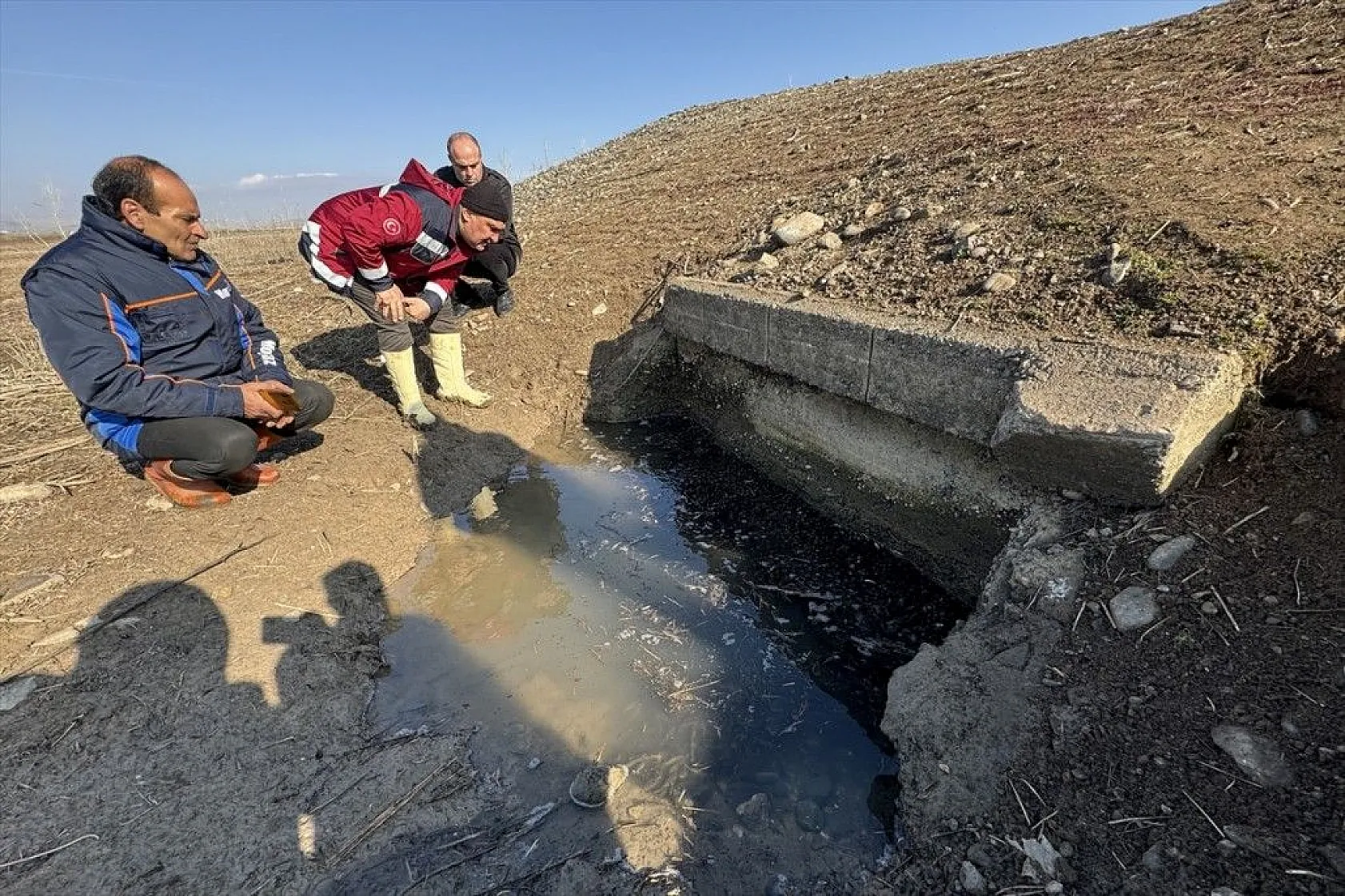 Elazığ'da sazan yavrularının yaşam savaşı