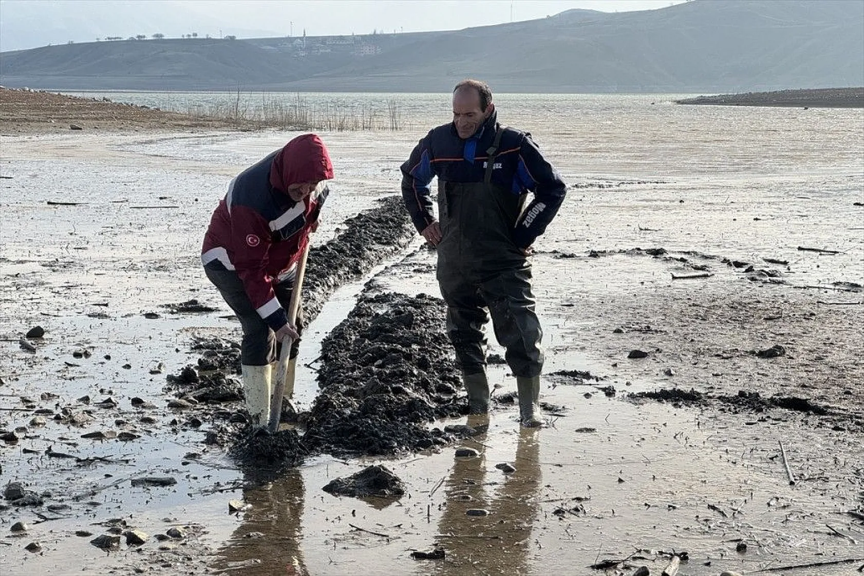 Elazığ'da sazan yavrularının yaşam savaşı