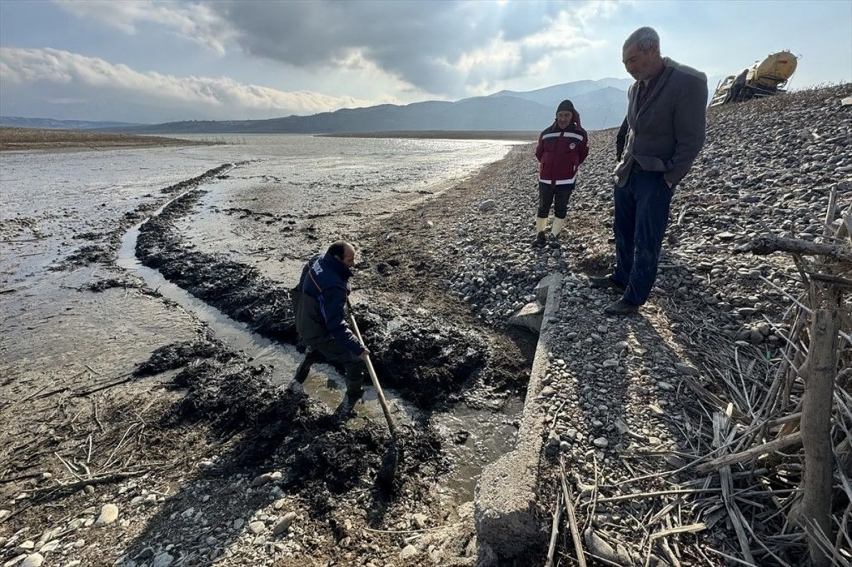 Elazığ'da sazan yavrularının yaşam savaşı