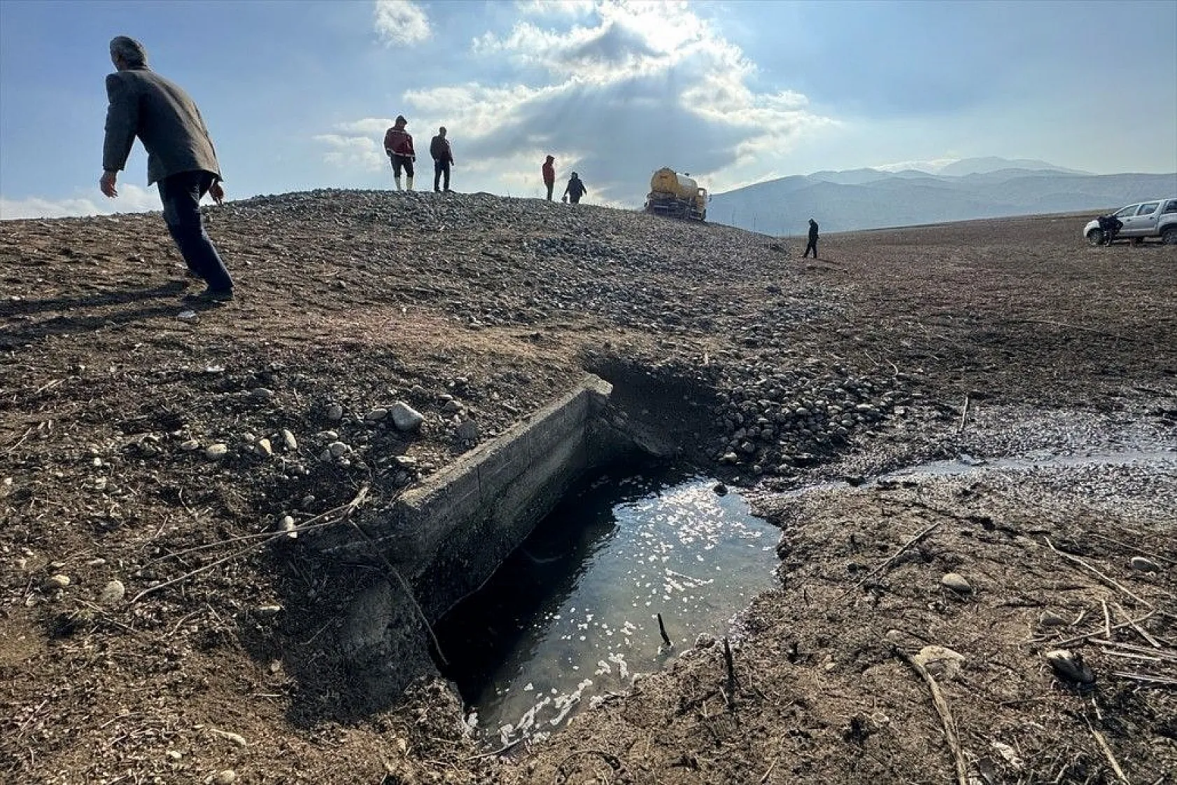 Elazığ'da sazan yavrularının yaşam savaşı