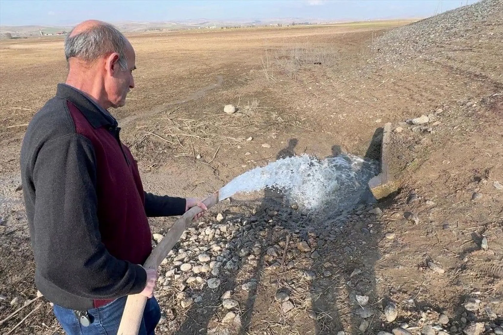 Elazığ'da sazan yavrularının yaşam savaşı