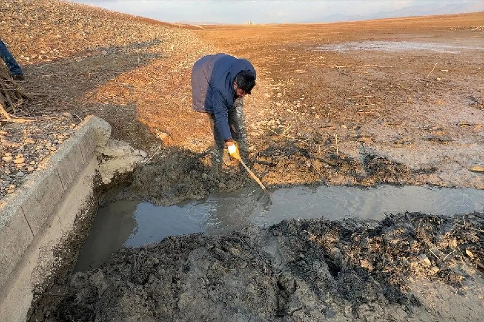 Elazığ'da sazan yavrularının yaşam savaşı
