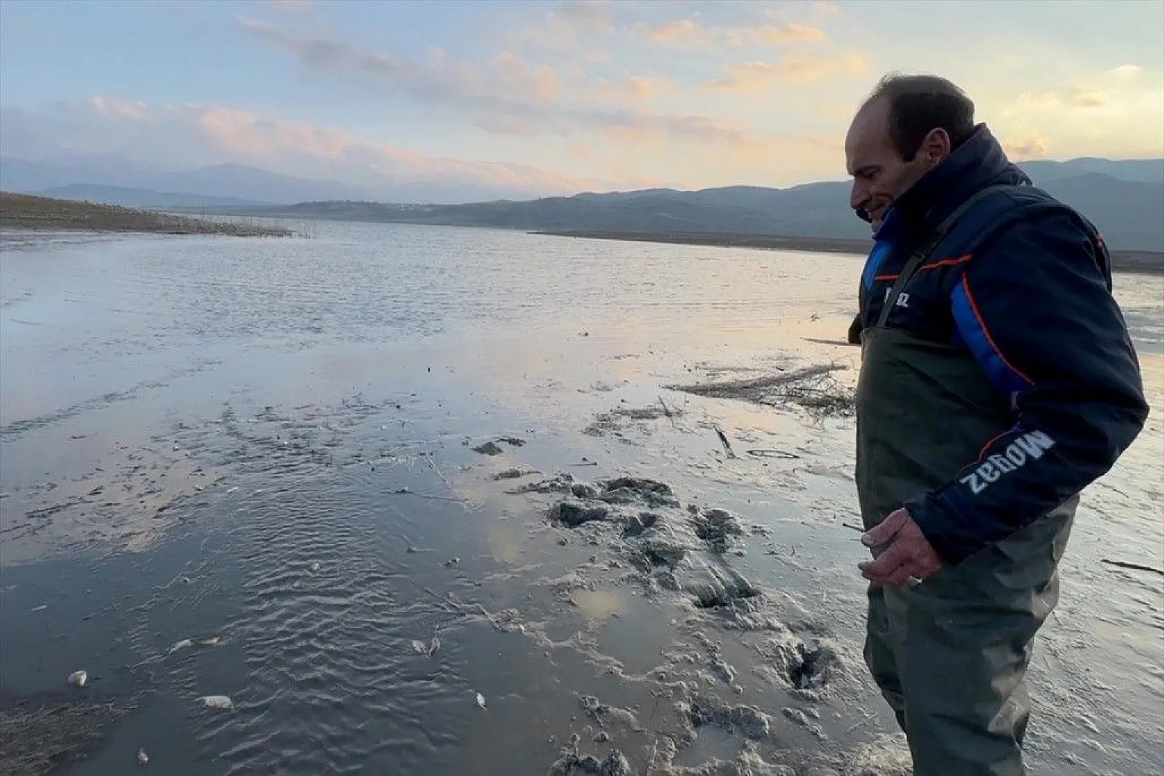 Elazığ'da sazan yavrularının yaşam savaşı
