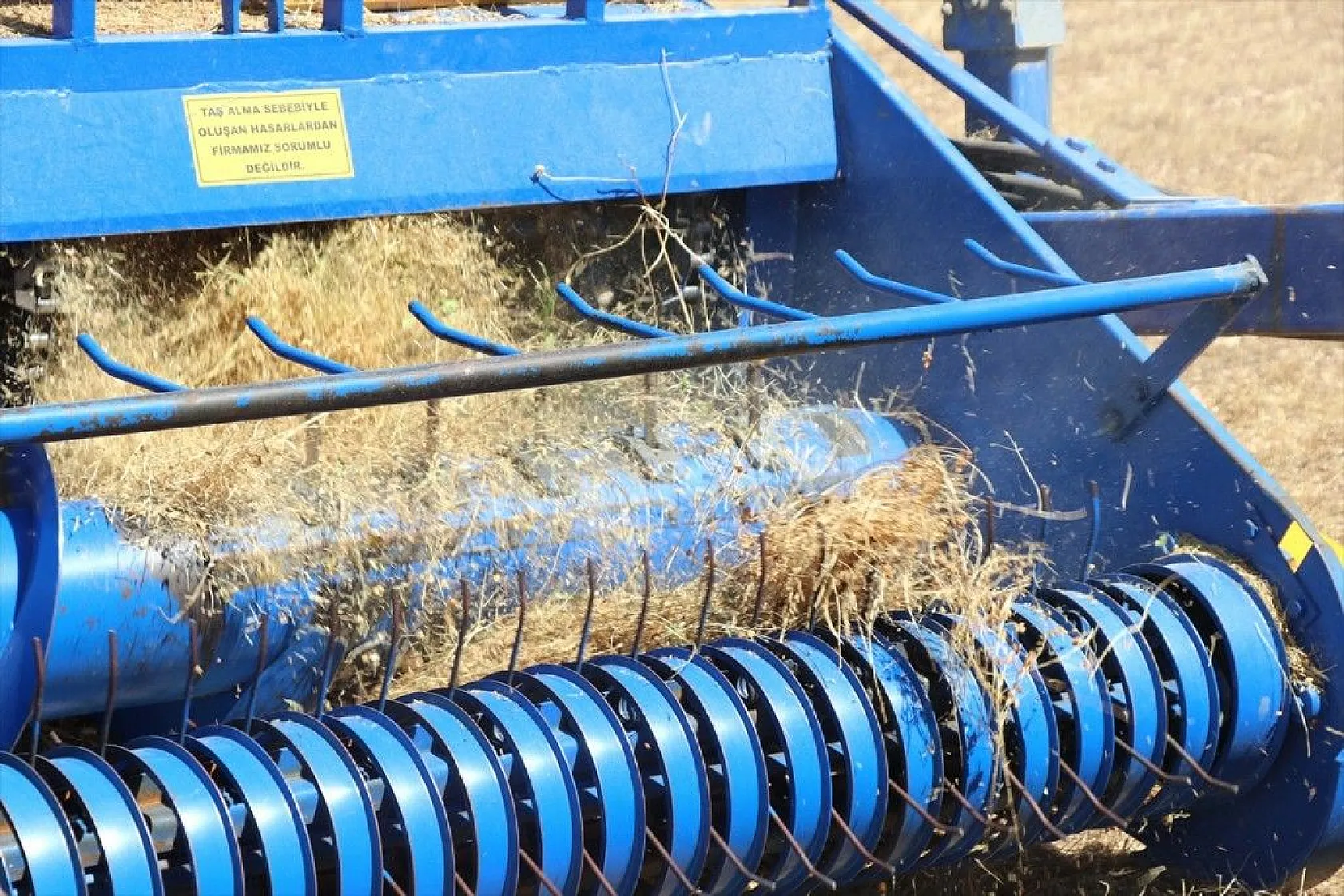 Elazığ'da kimyasal gübre yerine bakteri kullanan üreticiler mercimekte verimi artırdı