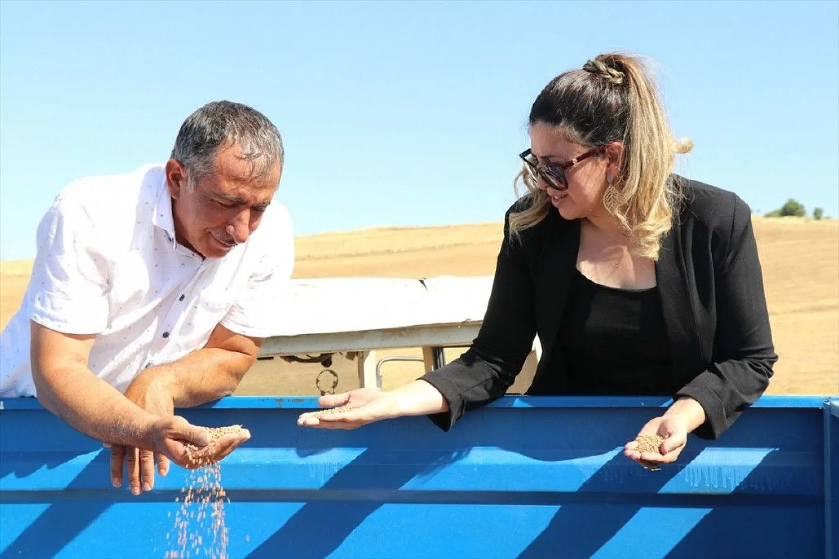 Elazığ'da kimyasal gübre yerine bakteri kullanan üreticiler mercimekte verimi artırdı